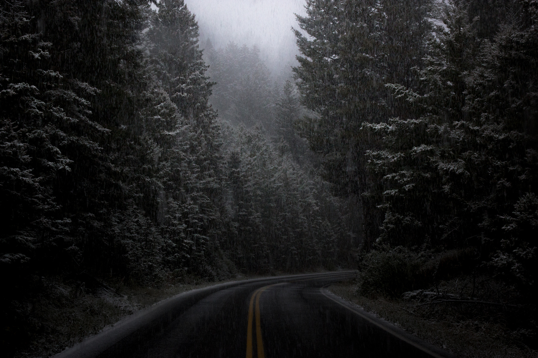 Canon EOS 550D (EOS Rebel T2i / EOS Kiss X4) sample photo. September snow photography