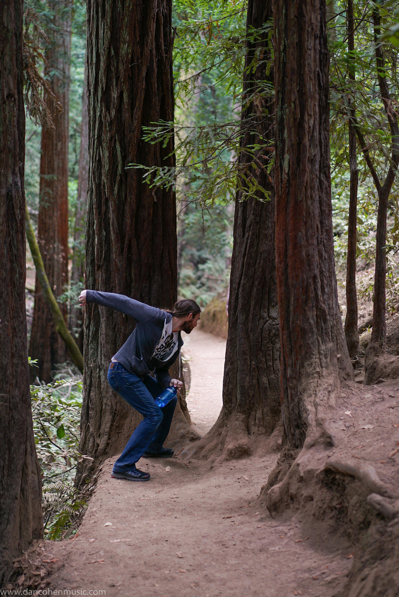 Sony a7S II + Sony Sonnar T* FE 55mm F1.8 ZA sample photo. Muir woods photography