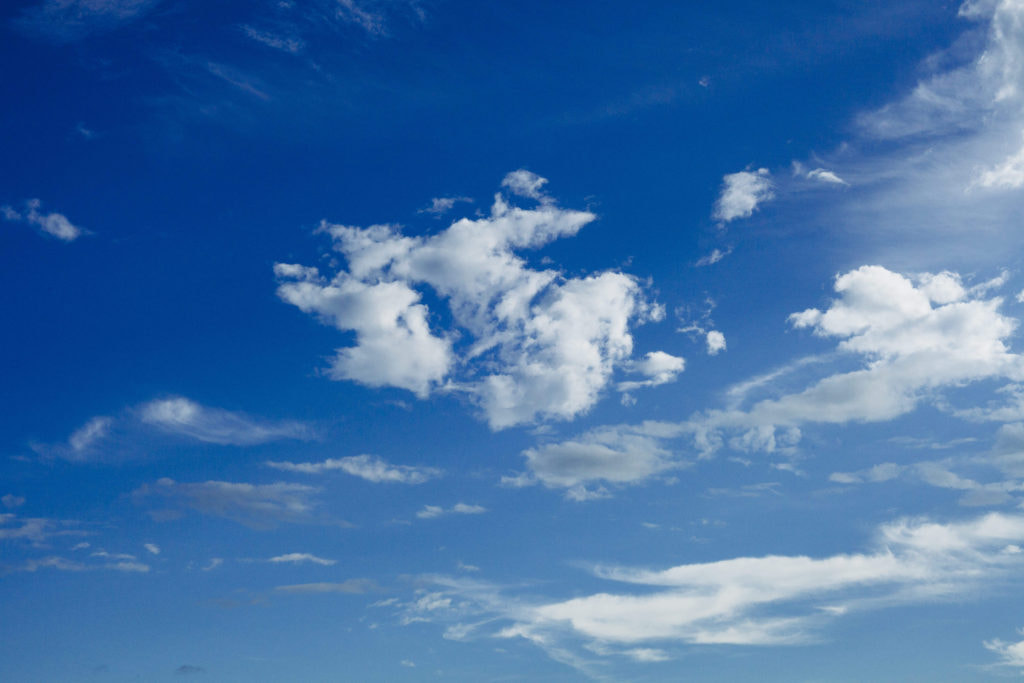 ZEISS Makro-Planar T* 50mm F2 sample photo. Blue. photography