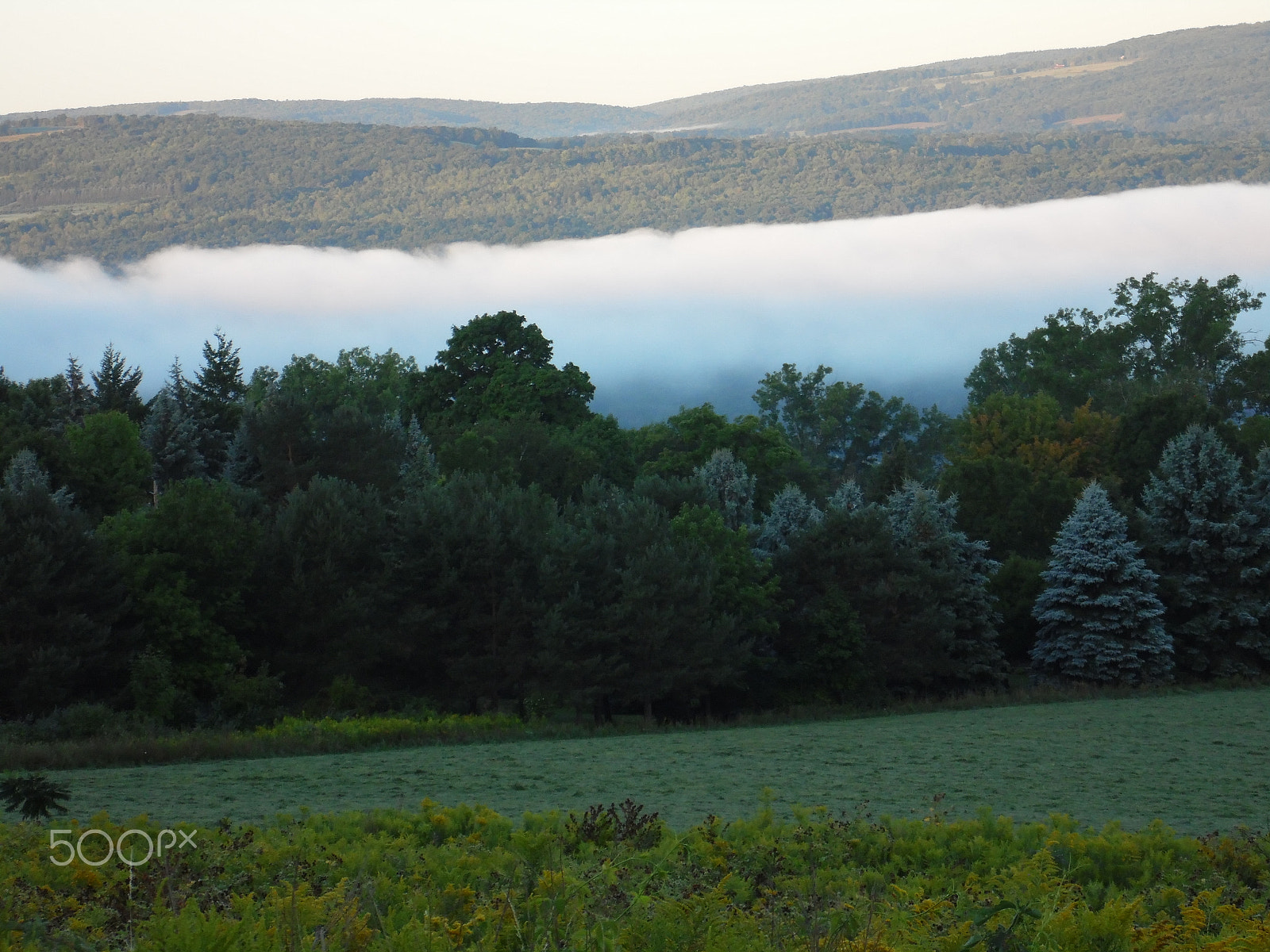 Samsung WB110/  WB111 sample photo. One foggy morning photography