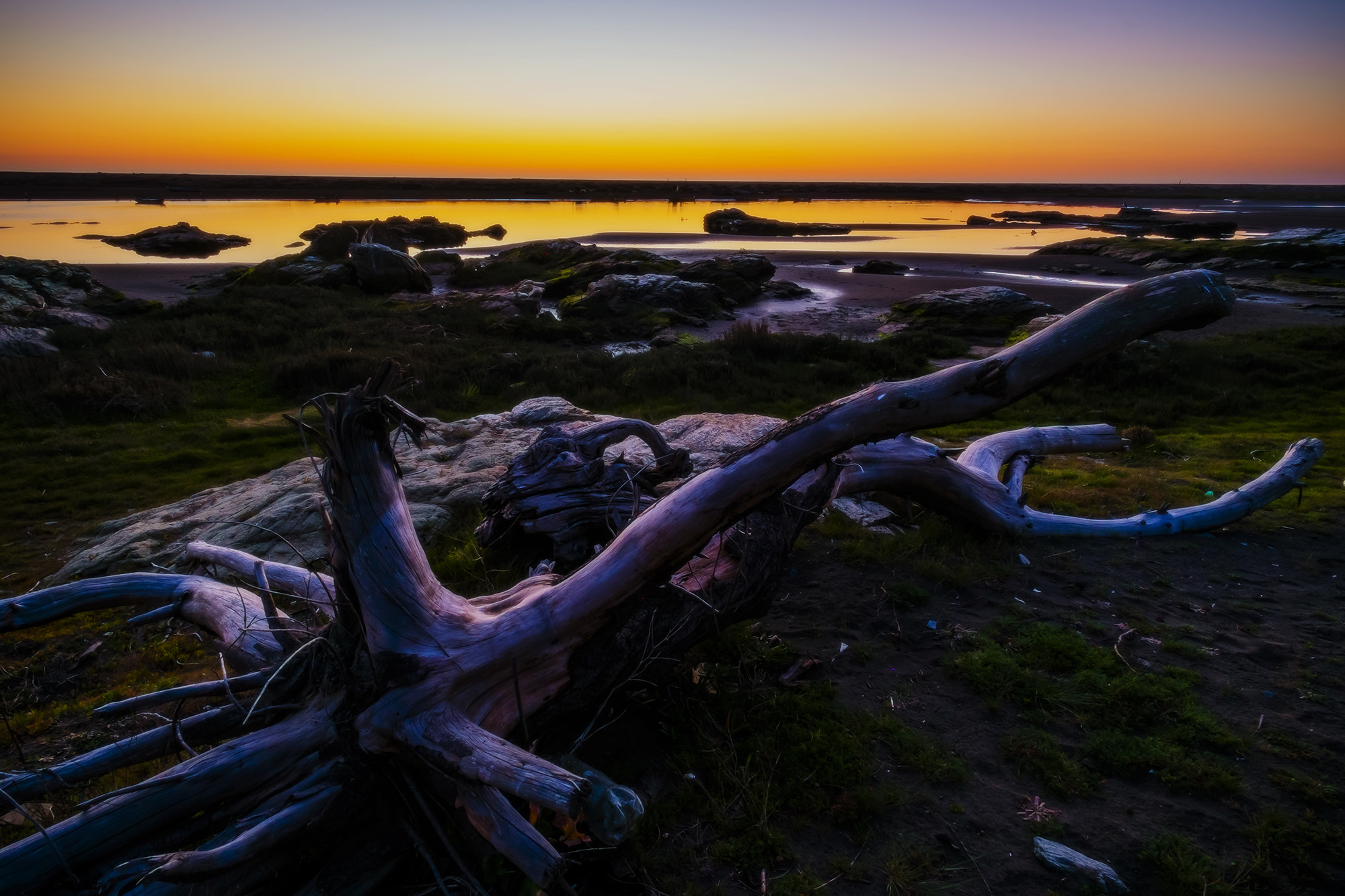 ZEISS Touit 12mm F2.8 sample photo. Lct_dsf4889 photography