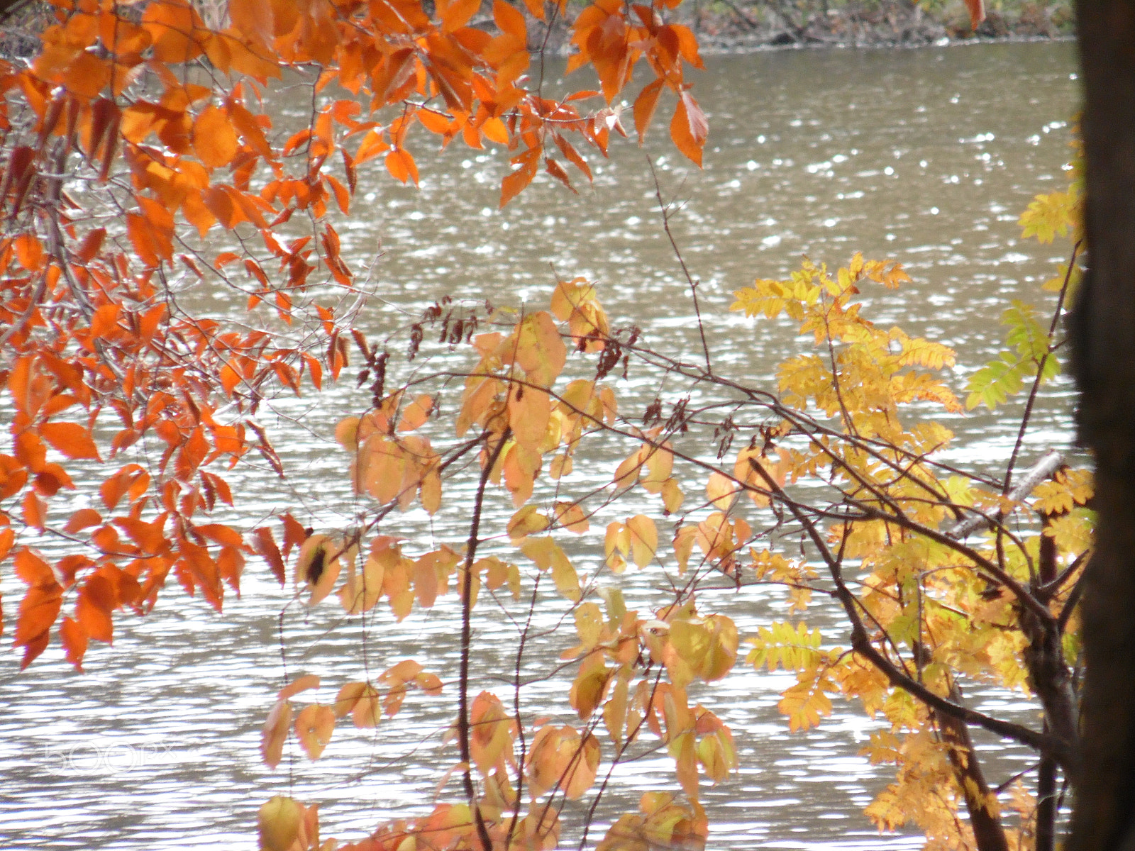 Samsung WB110/  WB111 sample photo. Lakeside photography