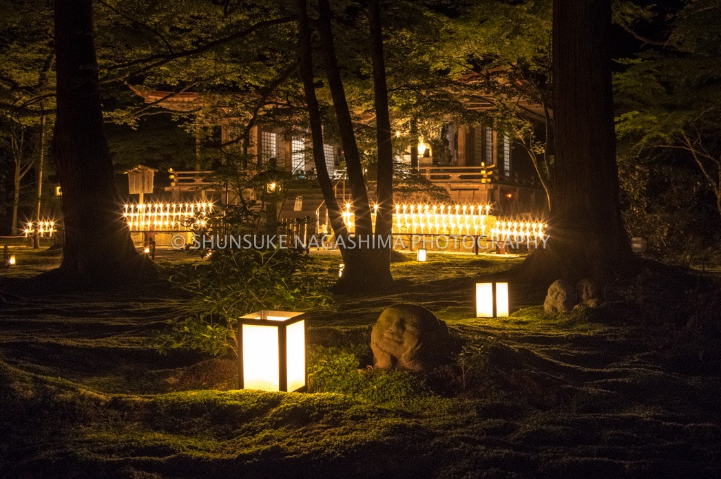 Pentax K-3 sample photo. Jizo photography