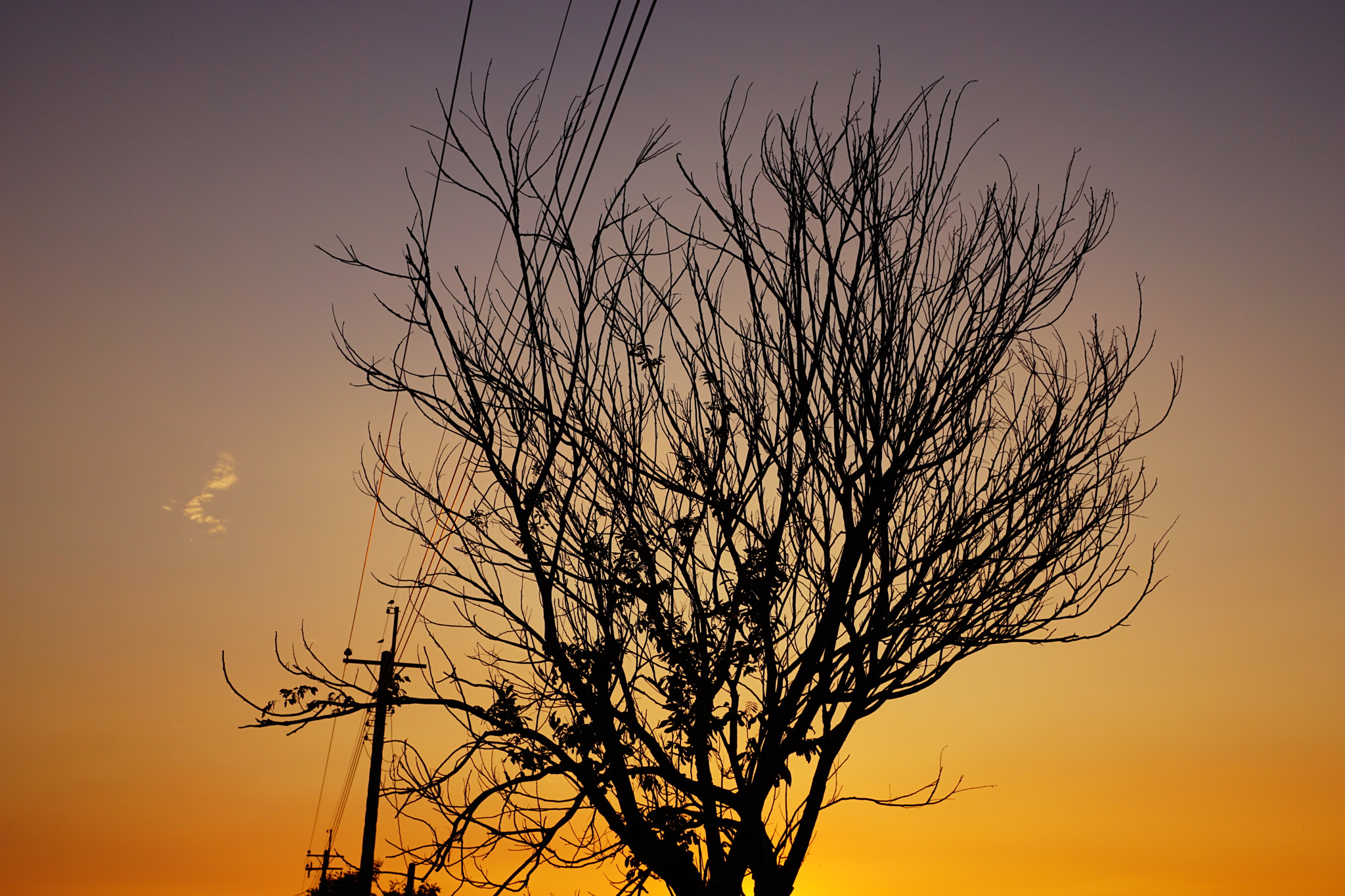 Sony a6000 + Sony Sonnar T* E 24mm F1.8 ZA sample photo. Magic hour photography