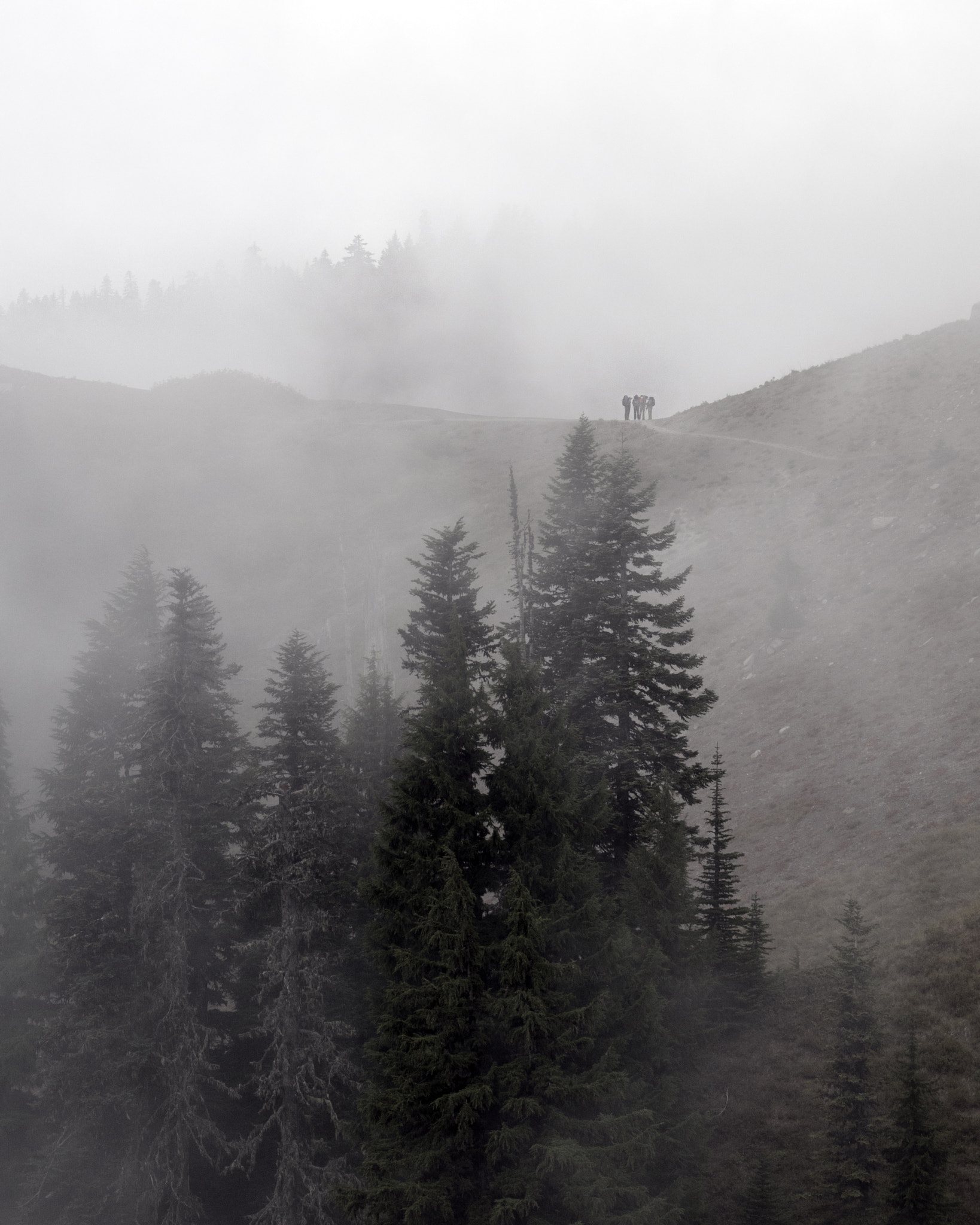 Nikon D300 + Sigma 18-200mm F3.5-6.3 DC sample photo. Mount rainier national park photography