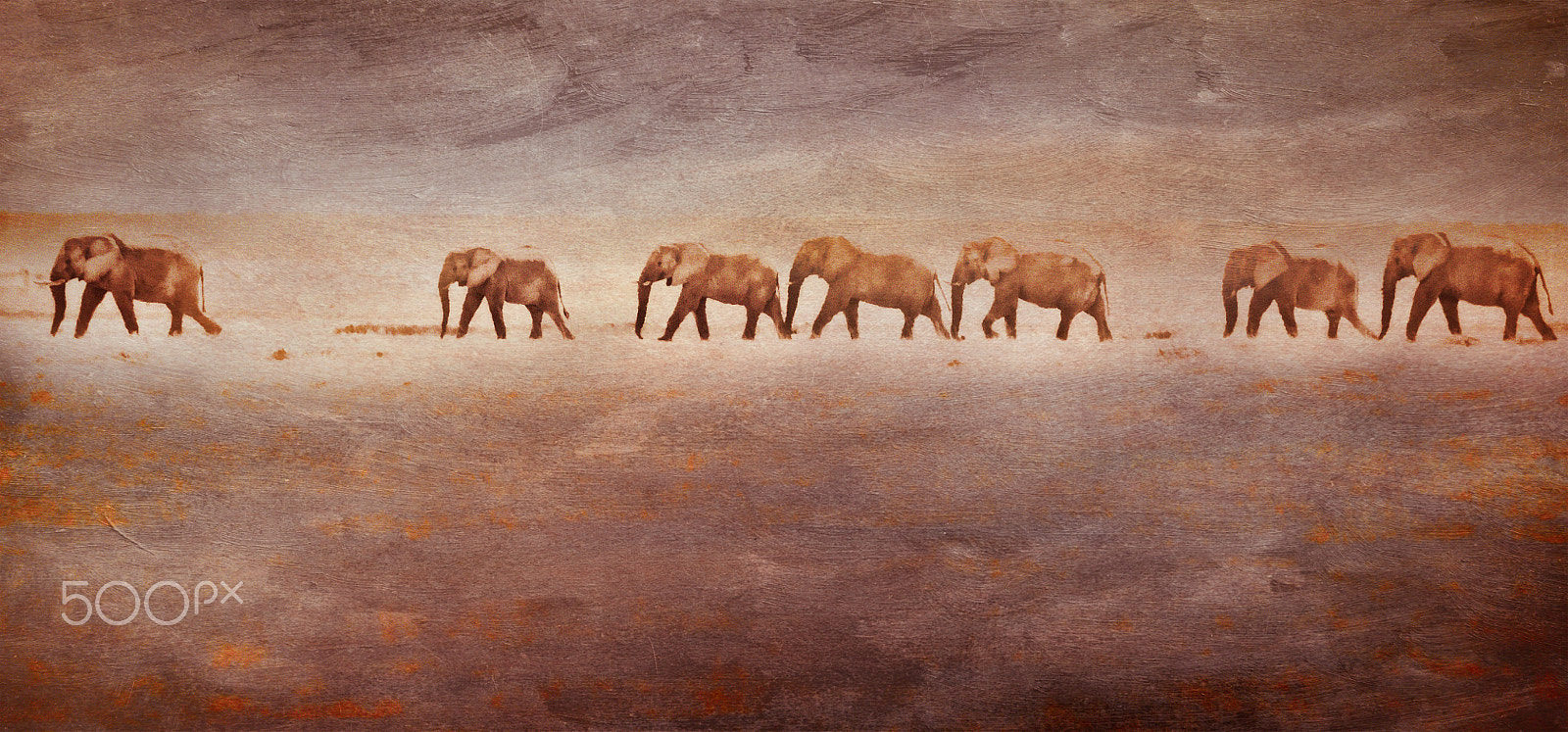 Panasonic Lumix DMC-G5 sample photo. Elephants in a sand storm photography