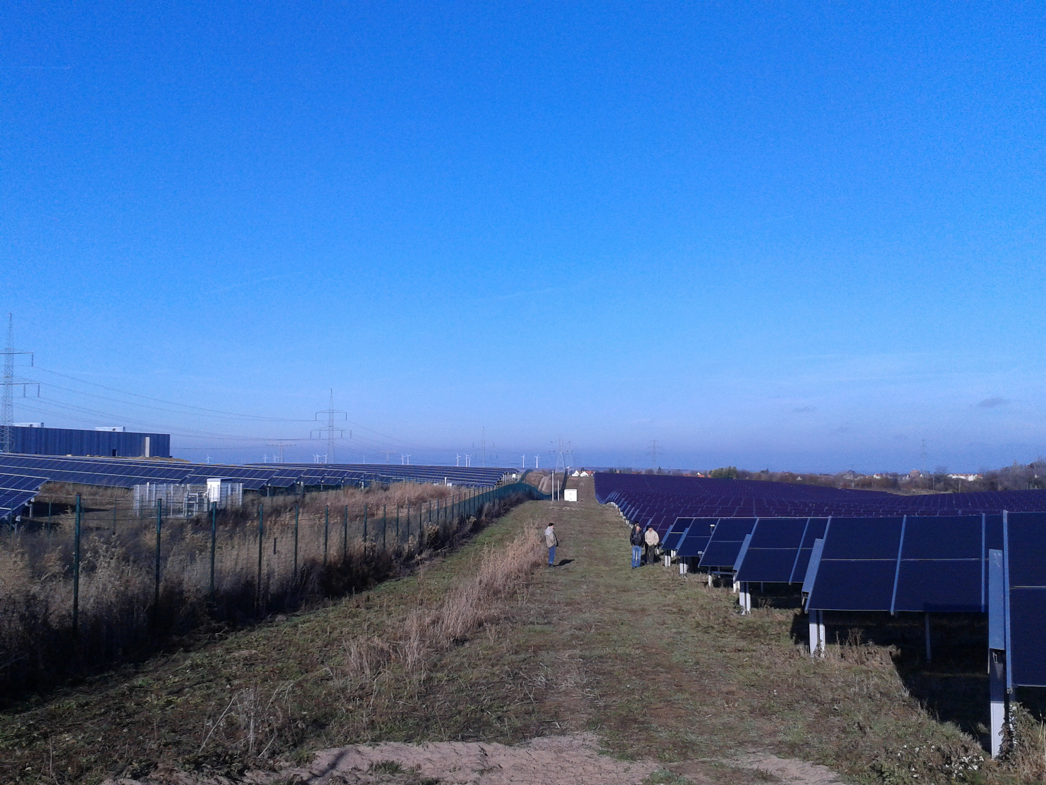 Samsung Galaxy Ace sample photo. 2012-11-21 10.58.28.jpg photography