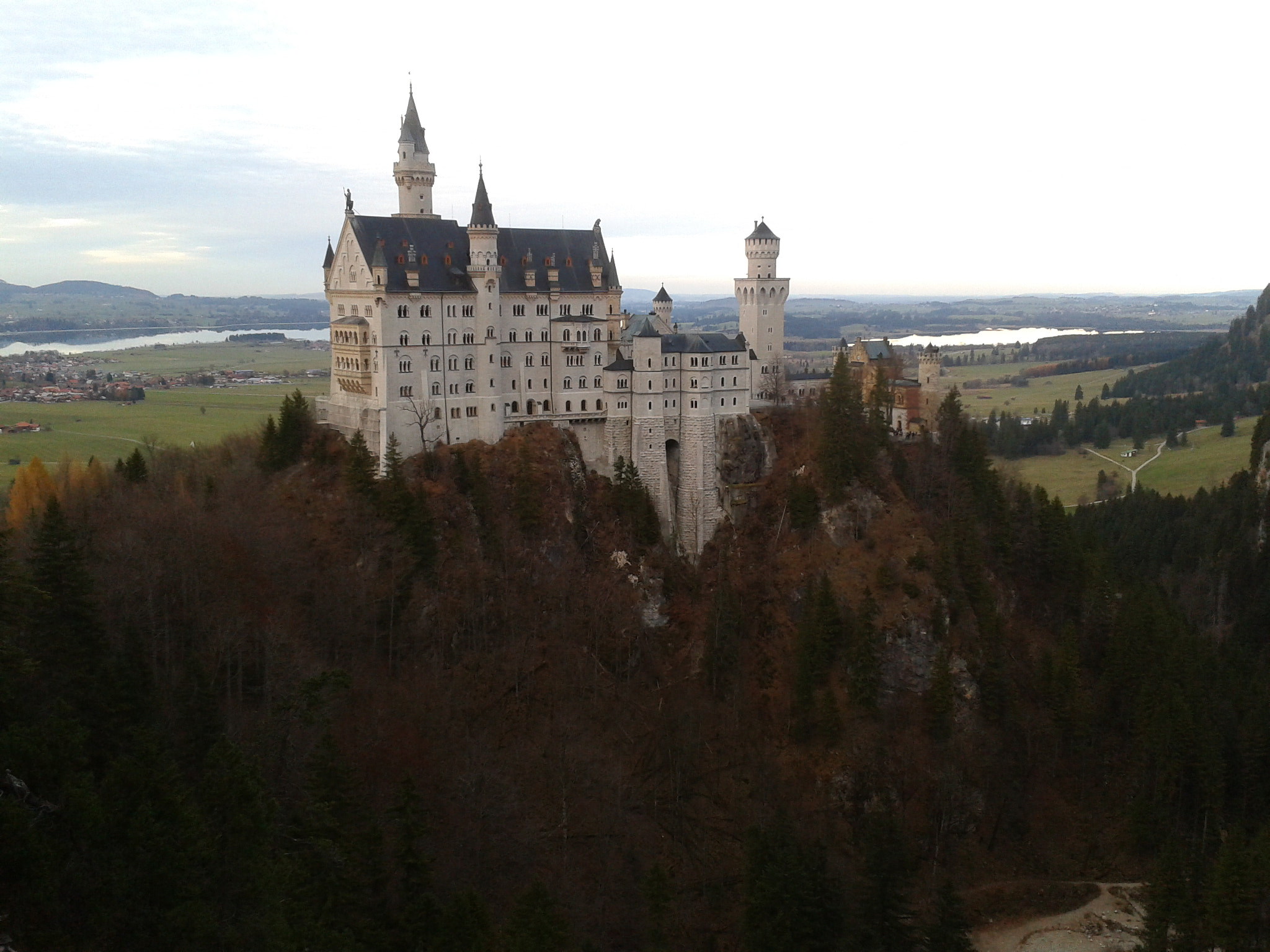 Samsung Galaxy Ace sample photo. 2012-11-24 15.51.21.jpg photography