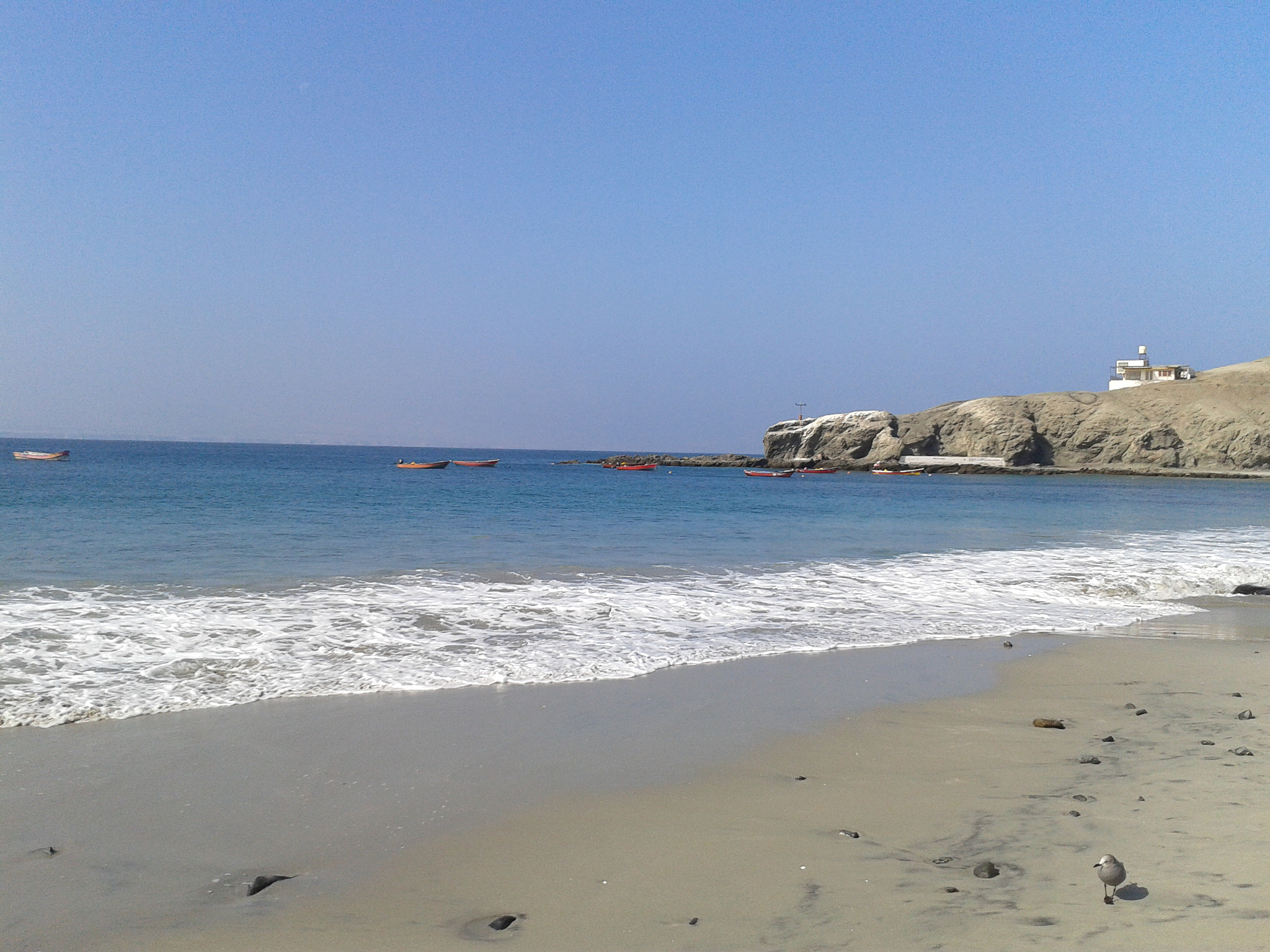 Samsung Galaxy Ace sample photo. 2013-06-16 13.44.18.jpg photography