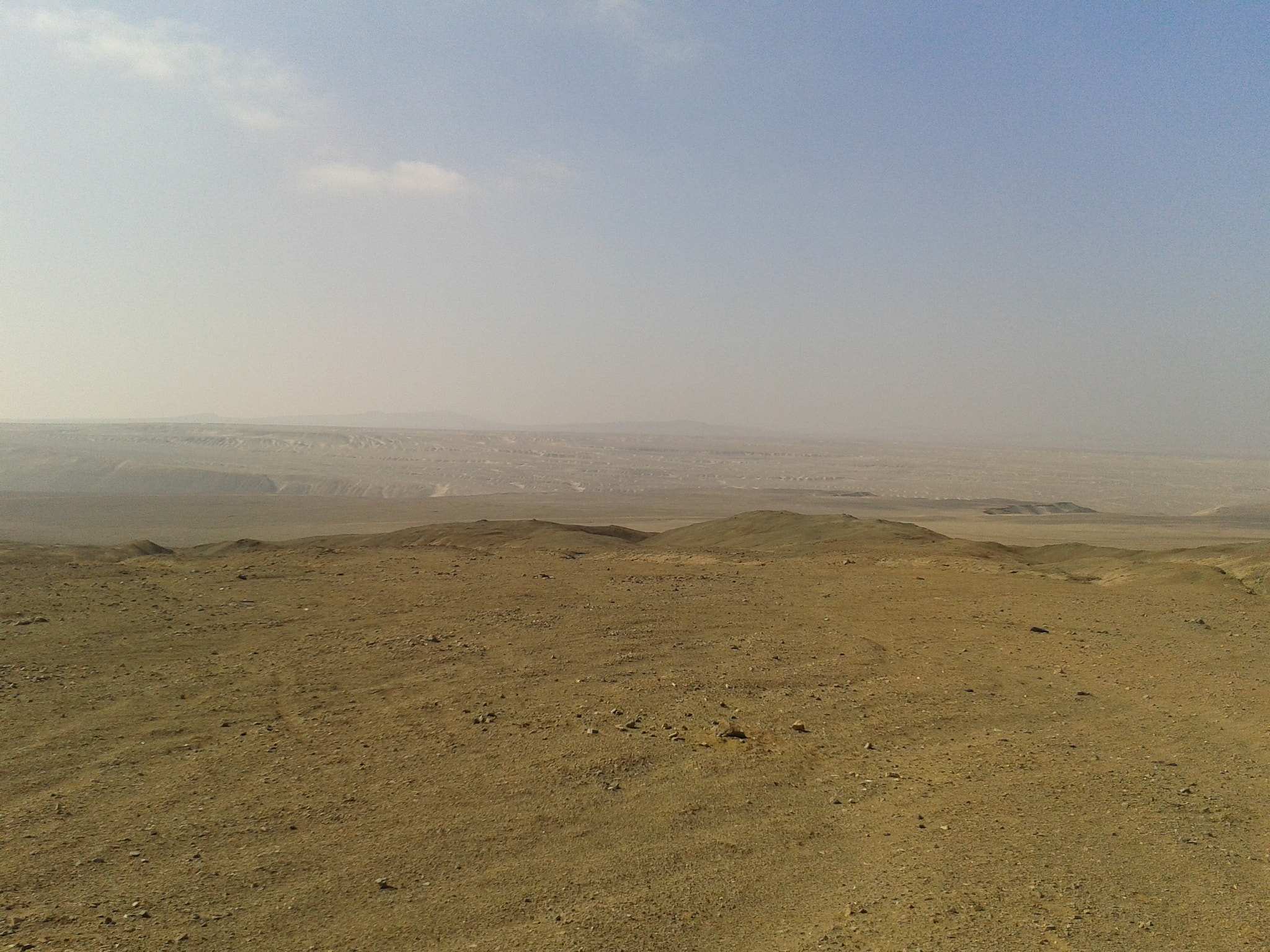 Samsung Galaxy Ace sample photo. () photography