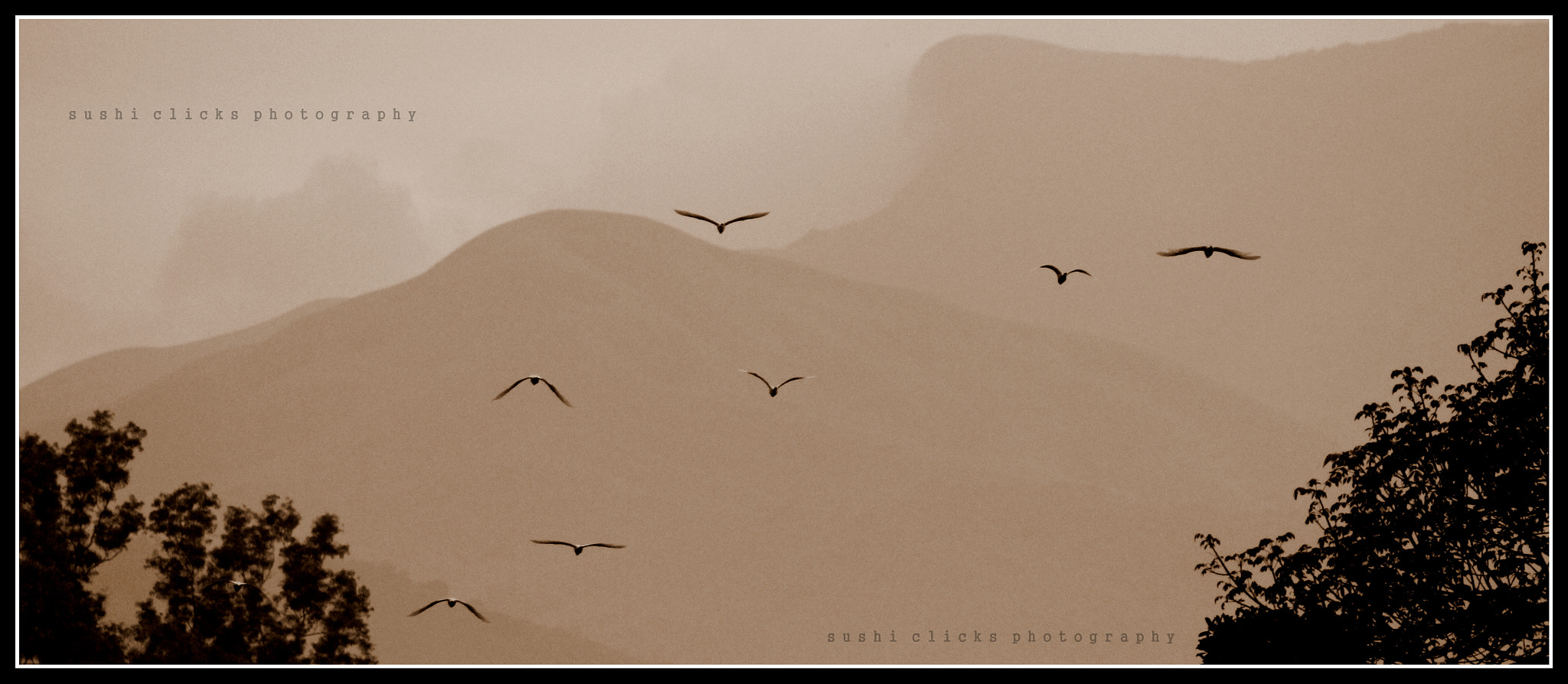 Canon EF 75-300mm f/4-5.6 USM sample photo. Off to home photography