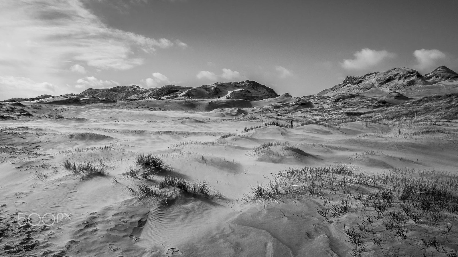 Olympus OM-D E-M5 + Panasonic Lumix G 14mm F2.5 ASPH sample photo. Like a desert photography