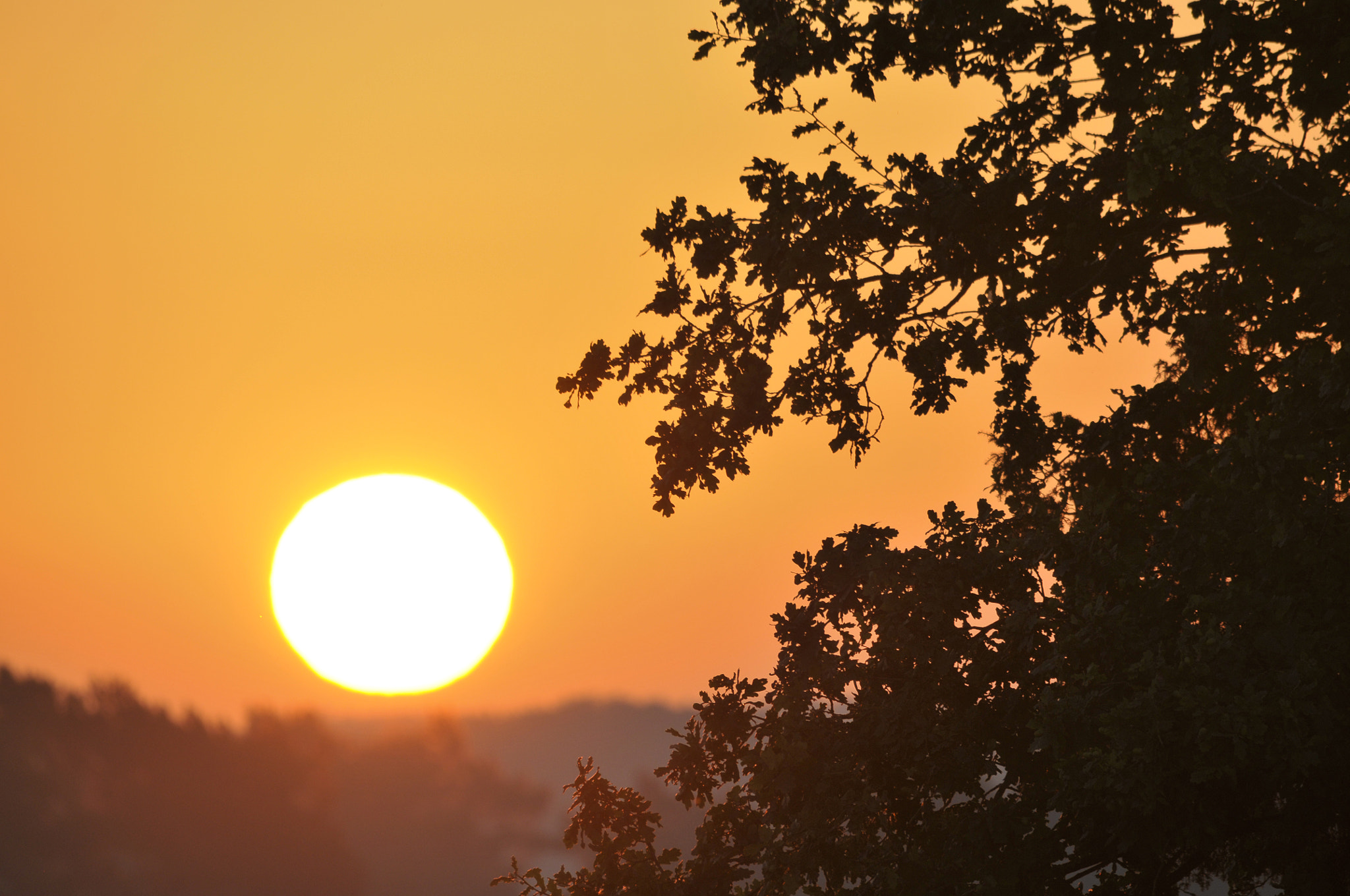 Sigma 150-500mm F5-6.3 DG OS HSM sample photo. Sunrise photography