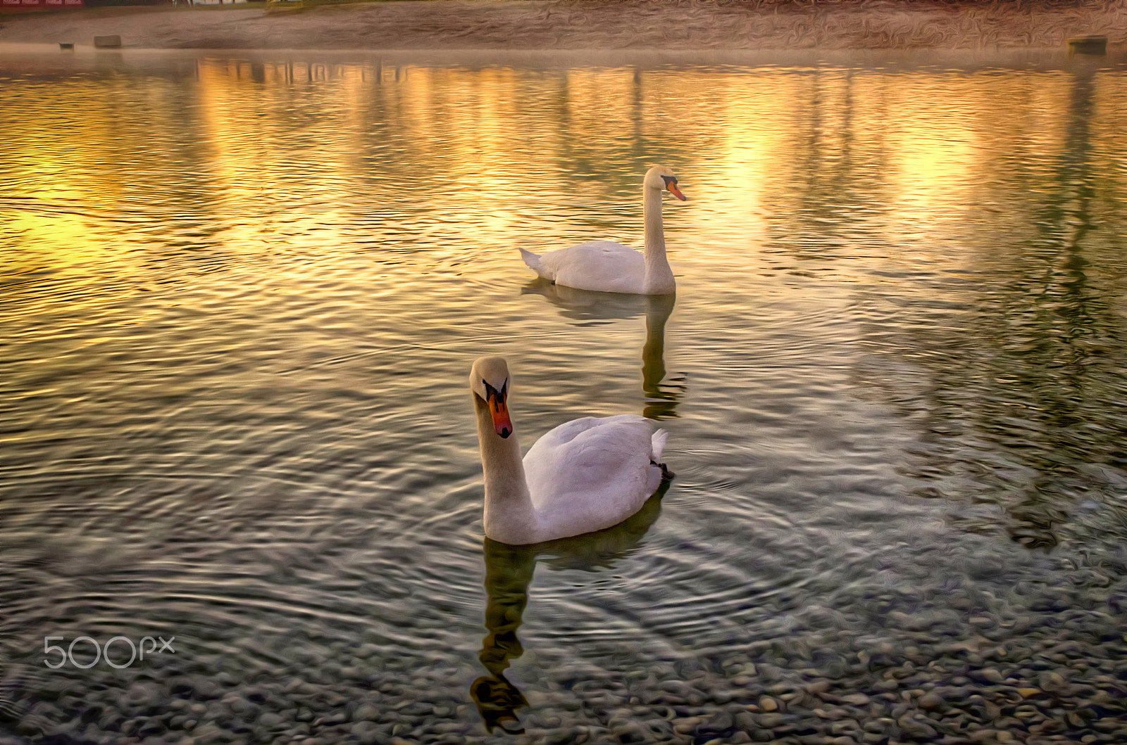 Pentax K-5 sample photo. Golden dawn photography