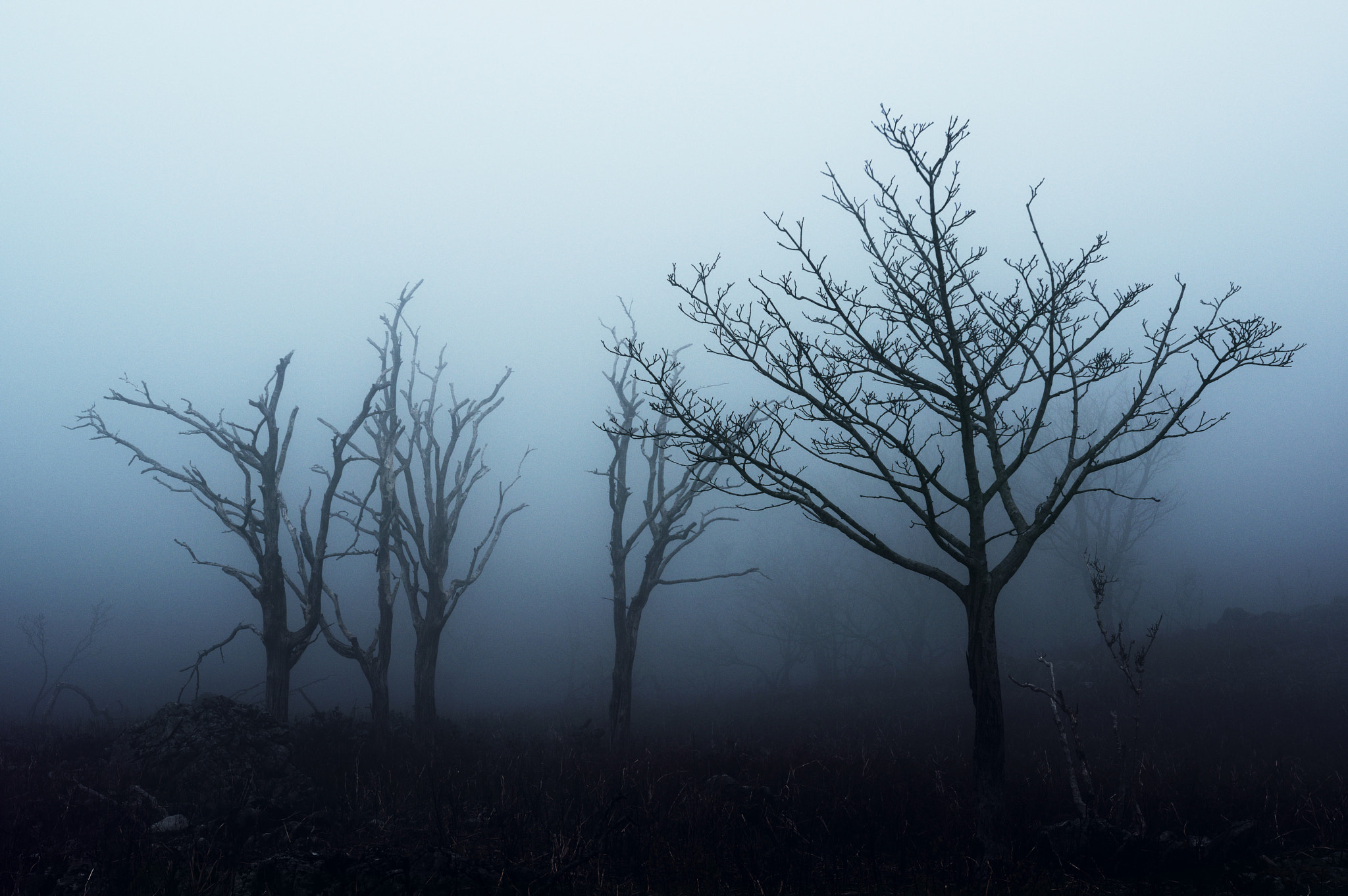 Pentax K-3 + Sigma 18-35mm F1.8 DC HSM Art sample photo. Mt. ryozen / shiga prefecture photography