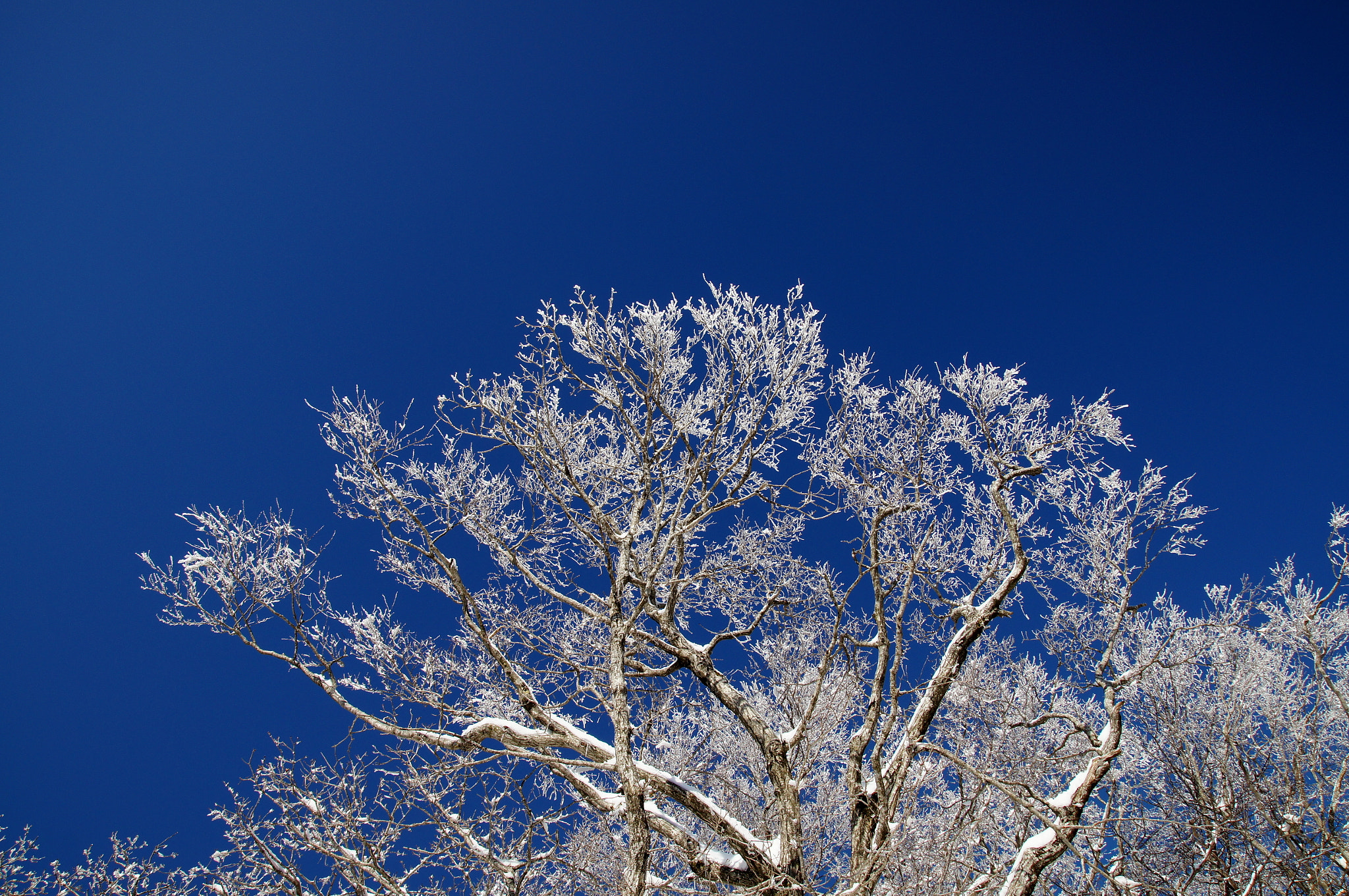 Sony SLT-A55 (SLT-A55V) sample photo. Snow mountain - jeju island photography