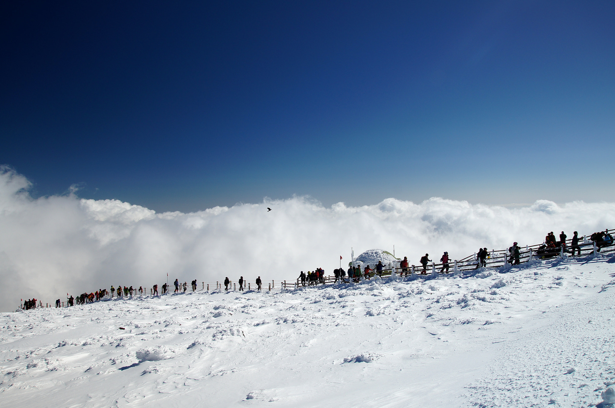 Sony SLT-A55 (SLT-A55V) sample photo. Snow mountain - jeju island photography