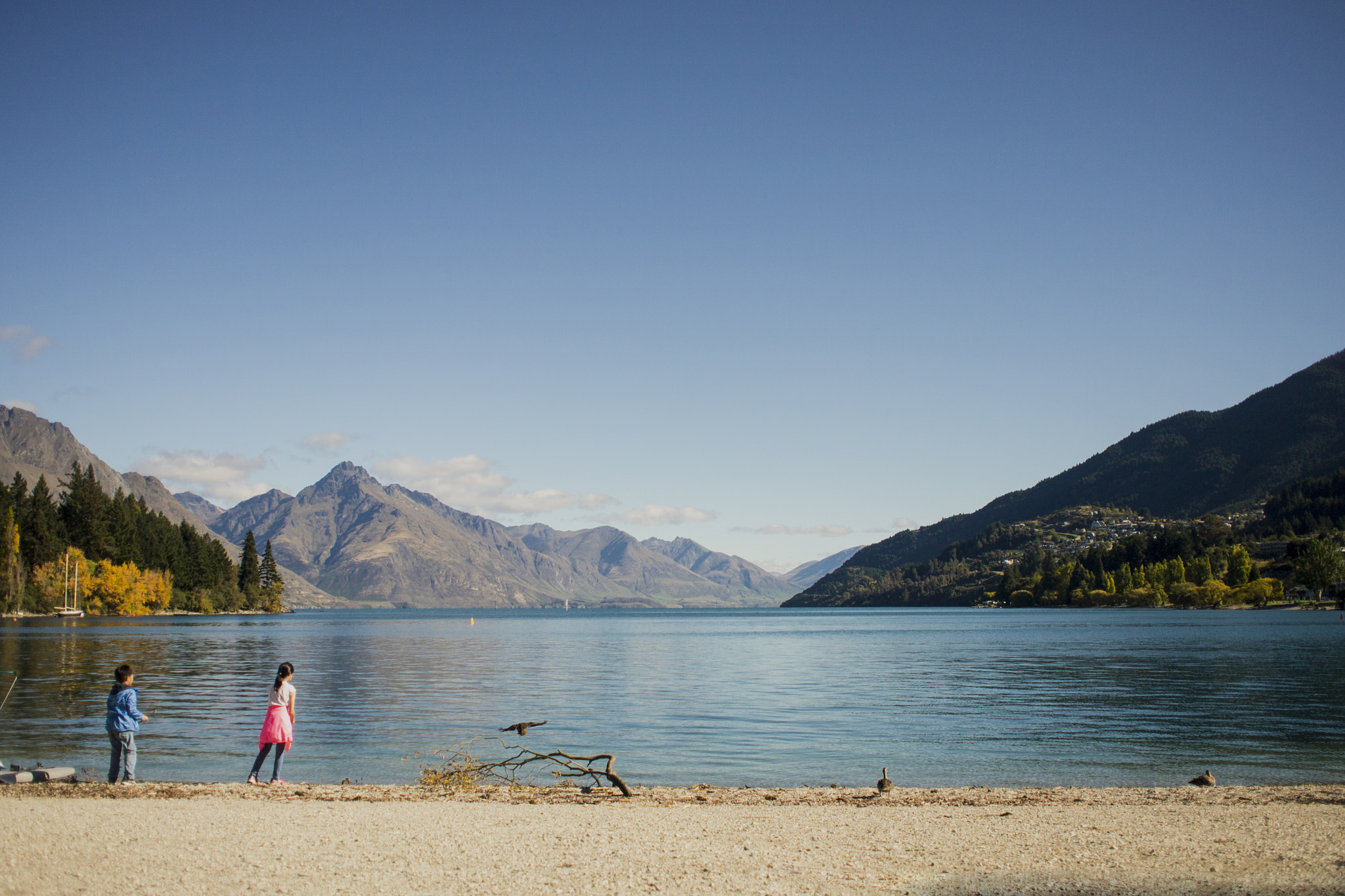 Olympus M.Zuiko Digital 17mm F2.8 Pancake sample photo. Queenstown lake photography