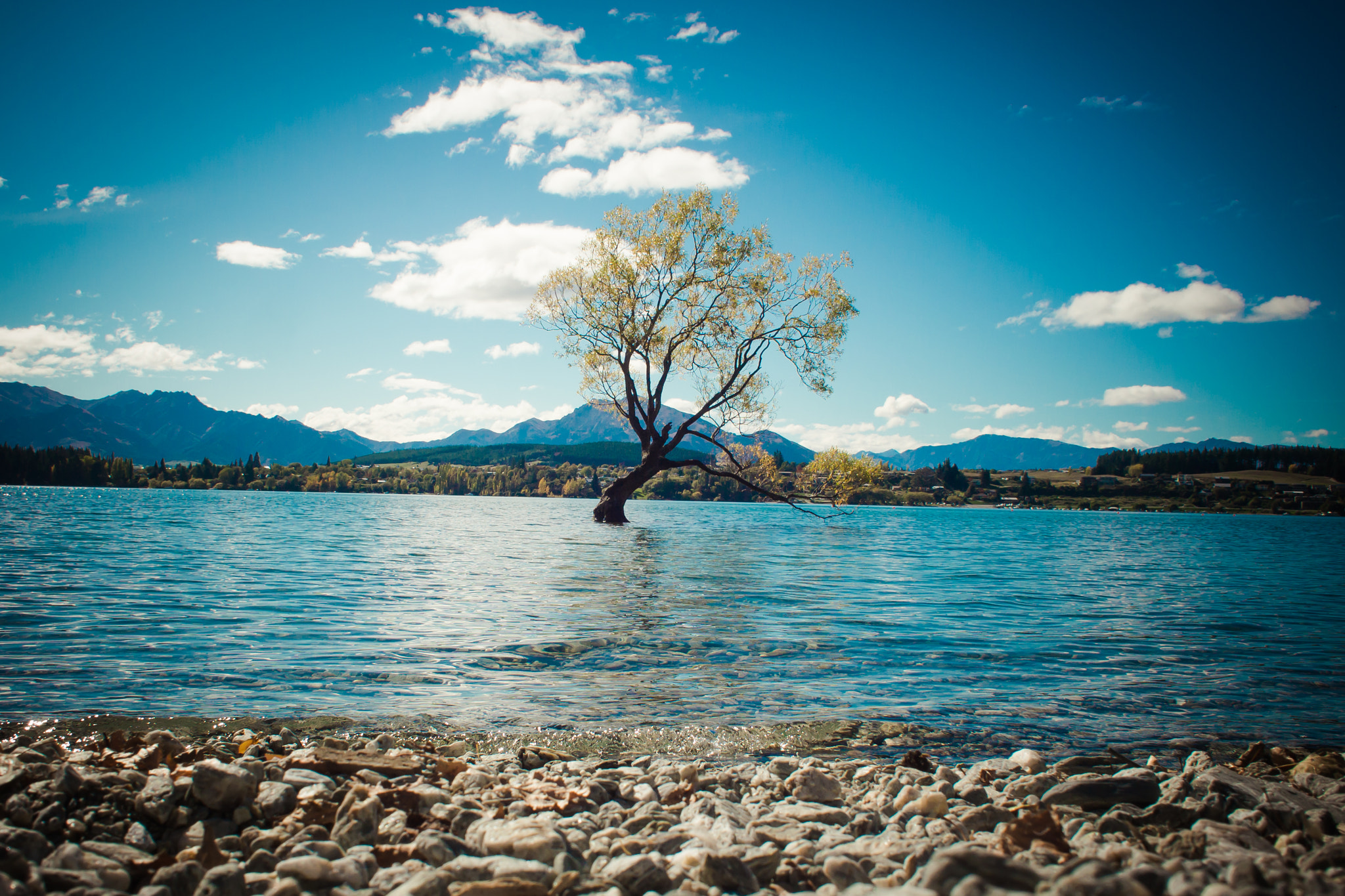 Olympus M.Zuiko Digital 17mm F2.8 Pancake sample photo. Lake wanaka photography