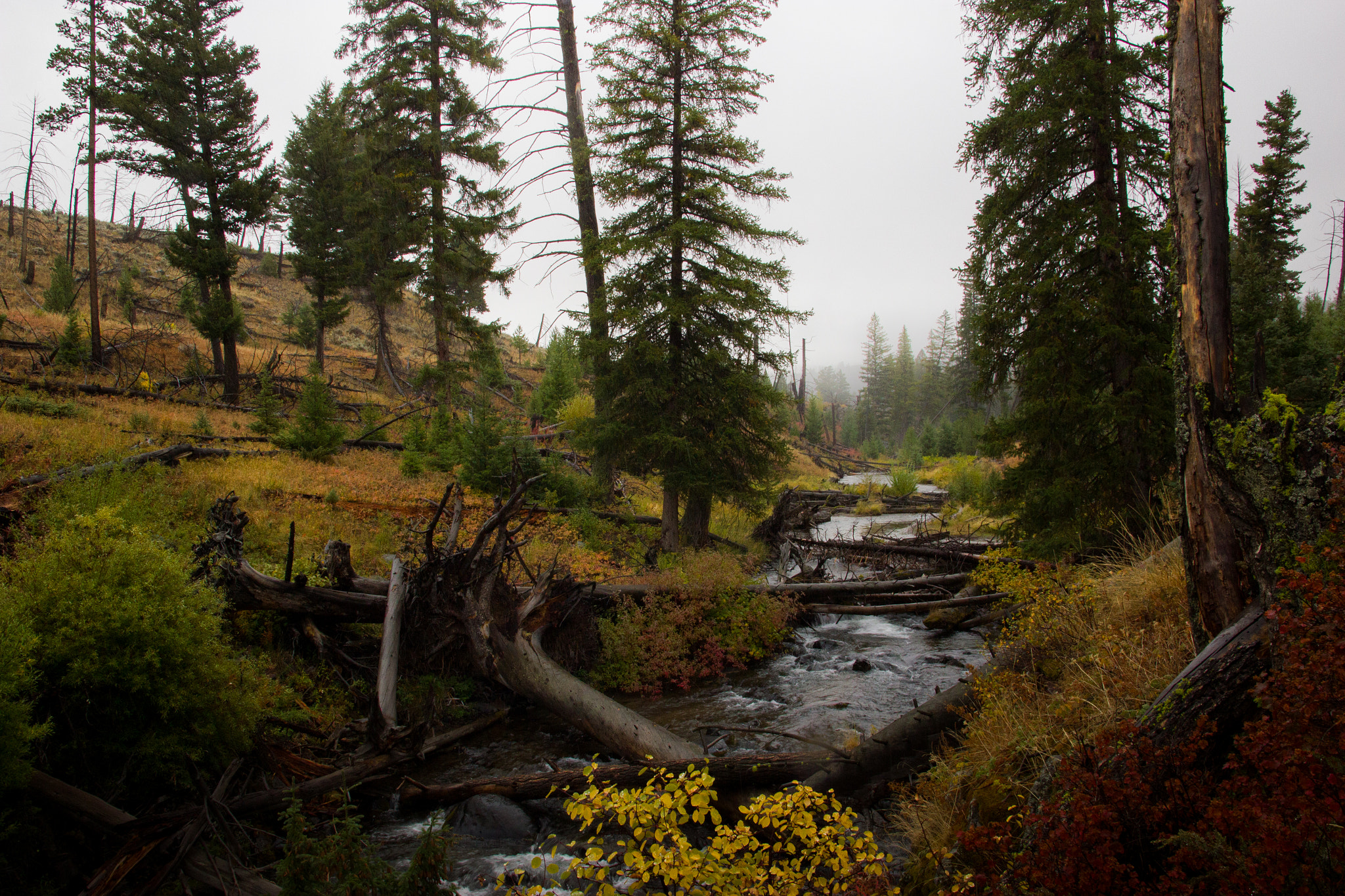 Canon EOS 550D (EOS Rebel T2i / EOS Kiss X4) sample photo. Above undine falls photography