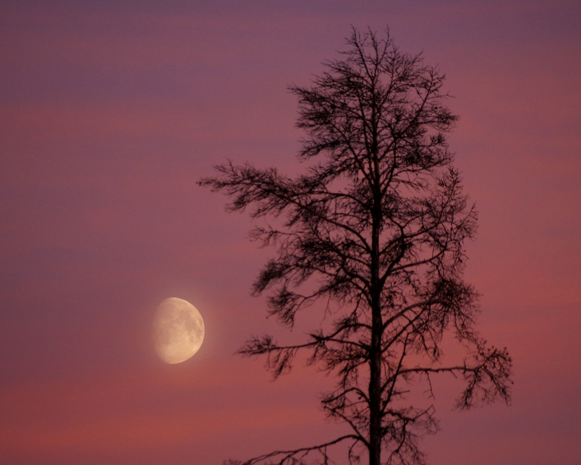 Pentax smc DA 55-300mm F4.0-5.8 ED sample photo. Purple dusk photography