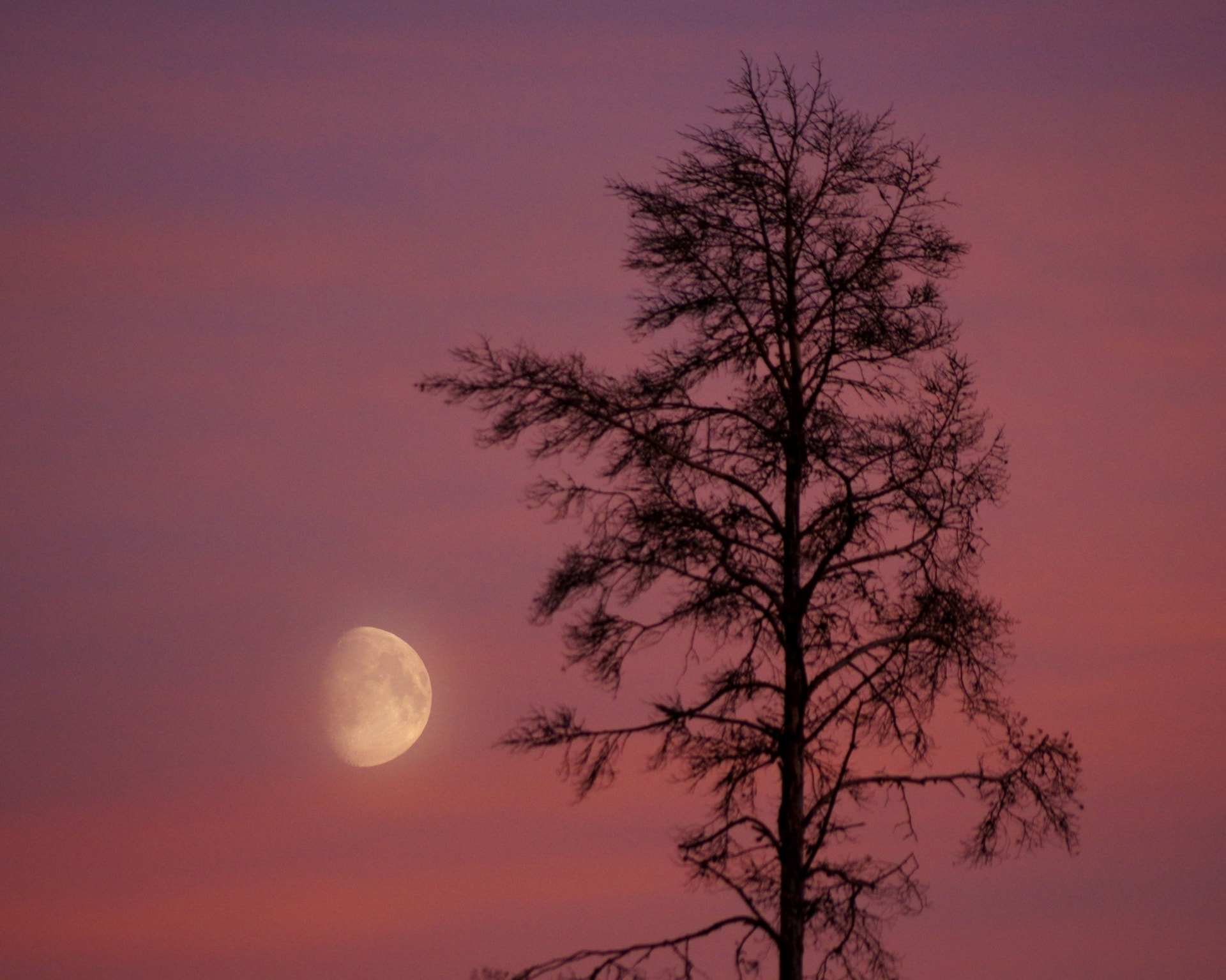 Pentax K-3 II sample photo. Purple dusk photography