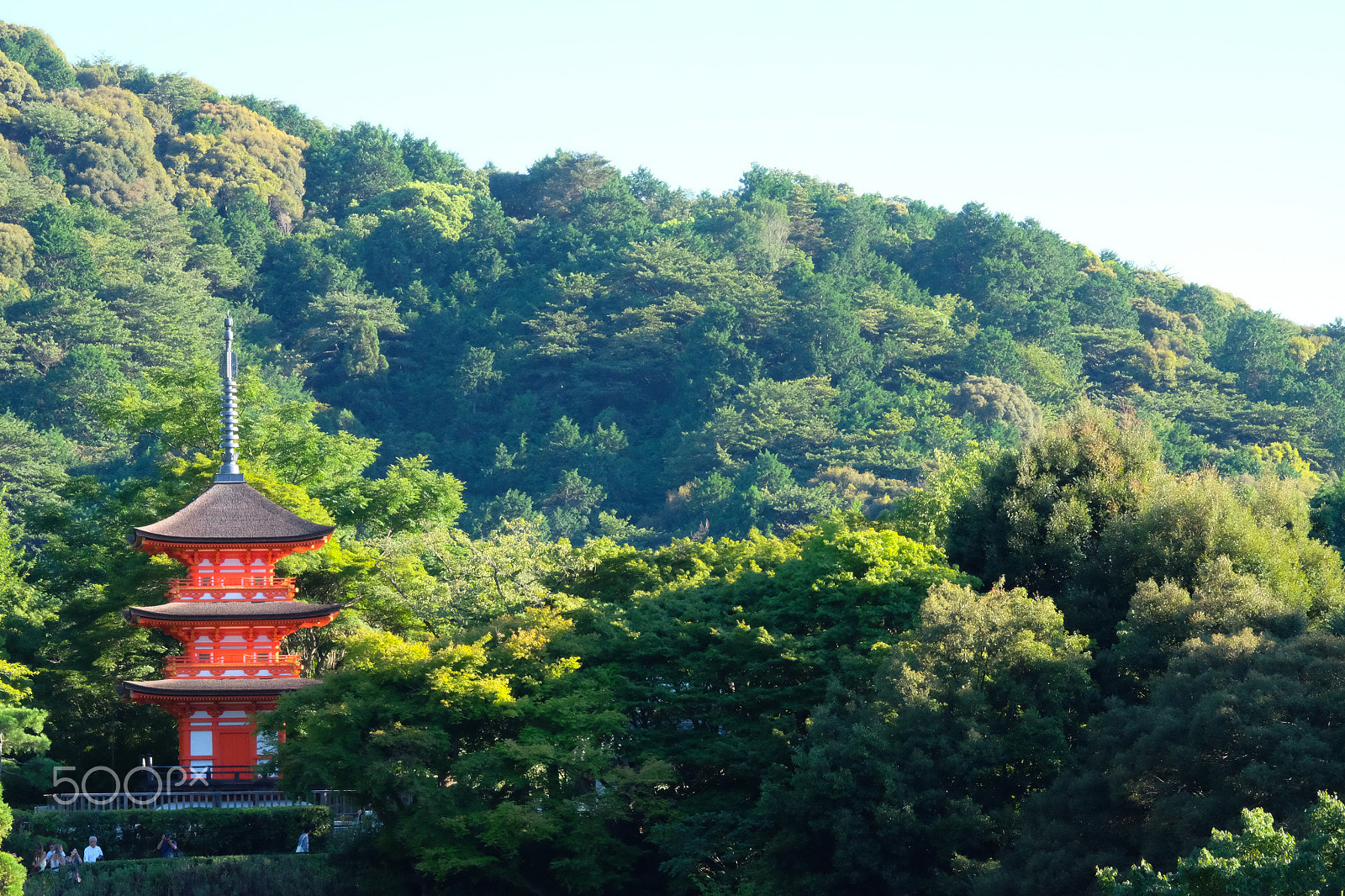 Fujifilm X-T10 + Fujifilm XF 50-140mm F2.8 R LM OIS WR sample photo. Japan photography