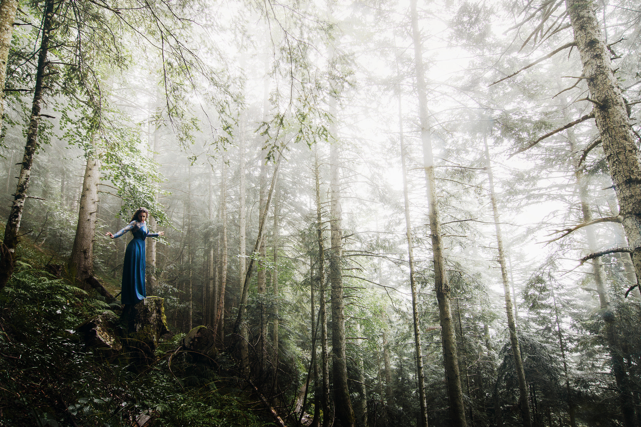 Tokina AT-X Pro 12-24mm F4 (IF) DX sample photo. Deep forest photography