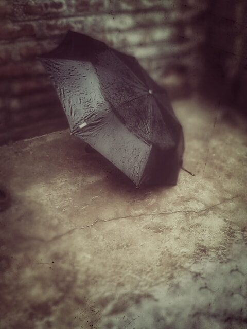 Micromax Canvas A1 sample photo. 28659503444.jpg photography