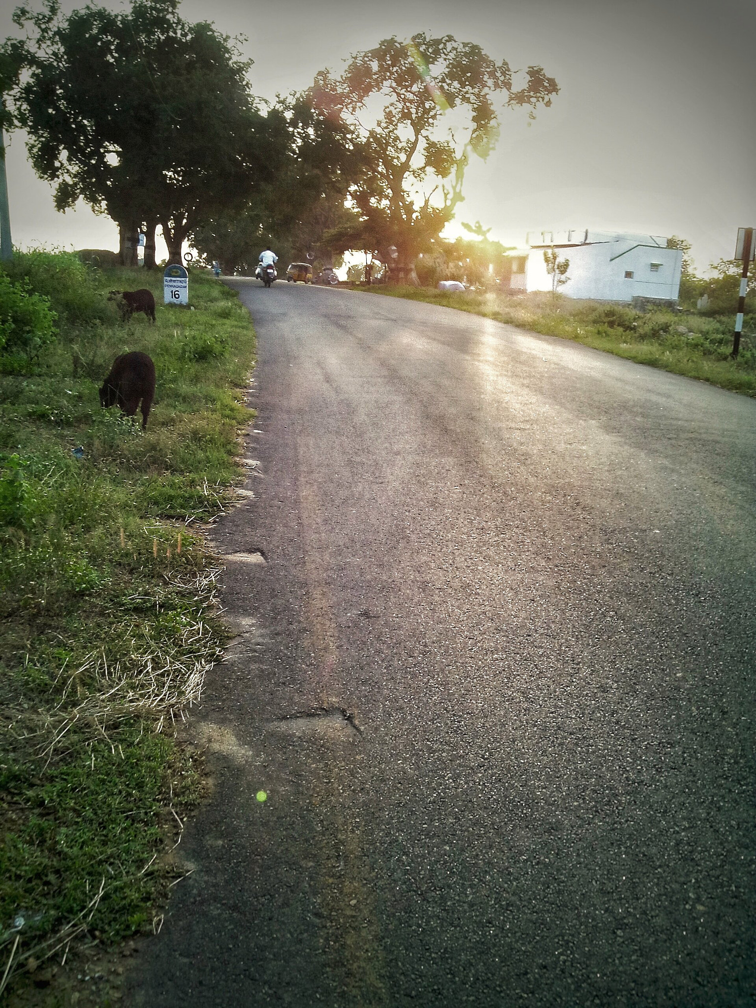 Micromax Canvas A1 sample photo. 25559958413.jpg photography