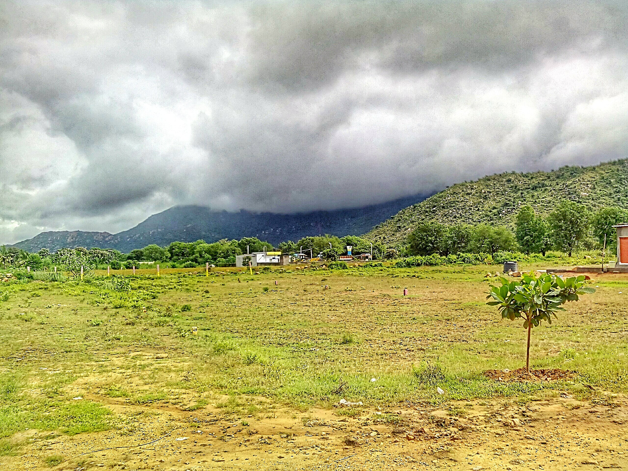 Micromax Canvas A1 sample photo. 24821051306.jpg photography