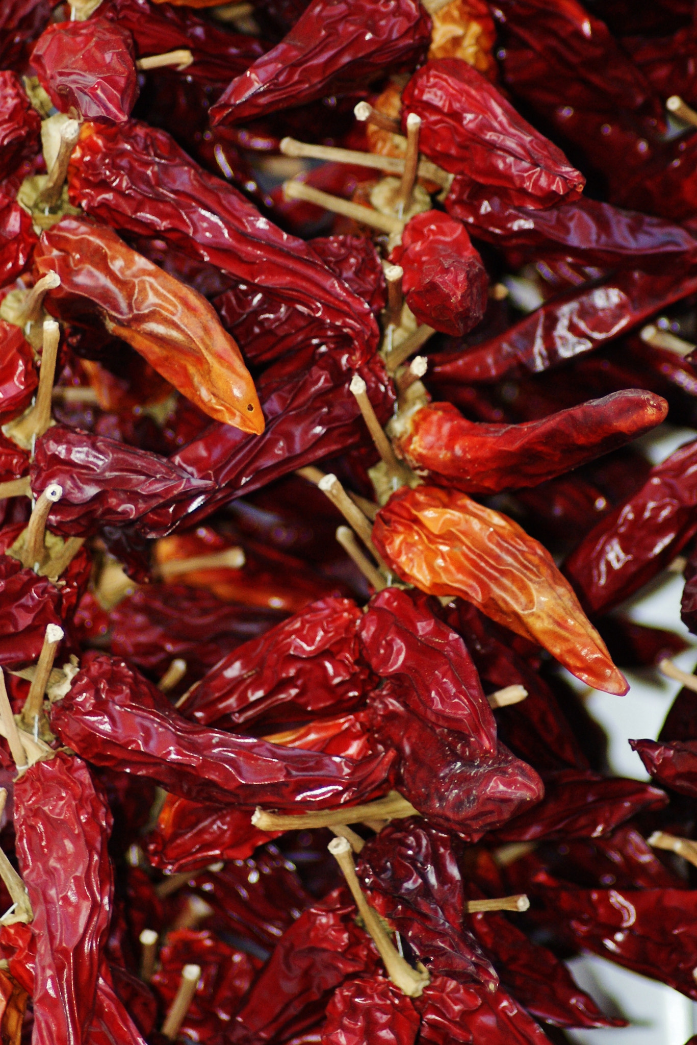 Sony Alpha DSLR-A200 + Tamron Lens (255) sample photo. Dried peppers photography