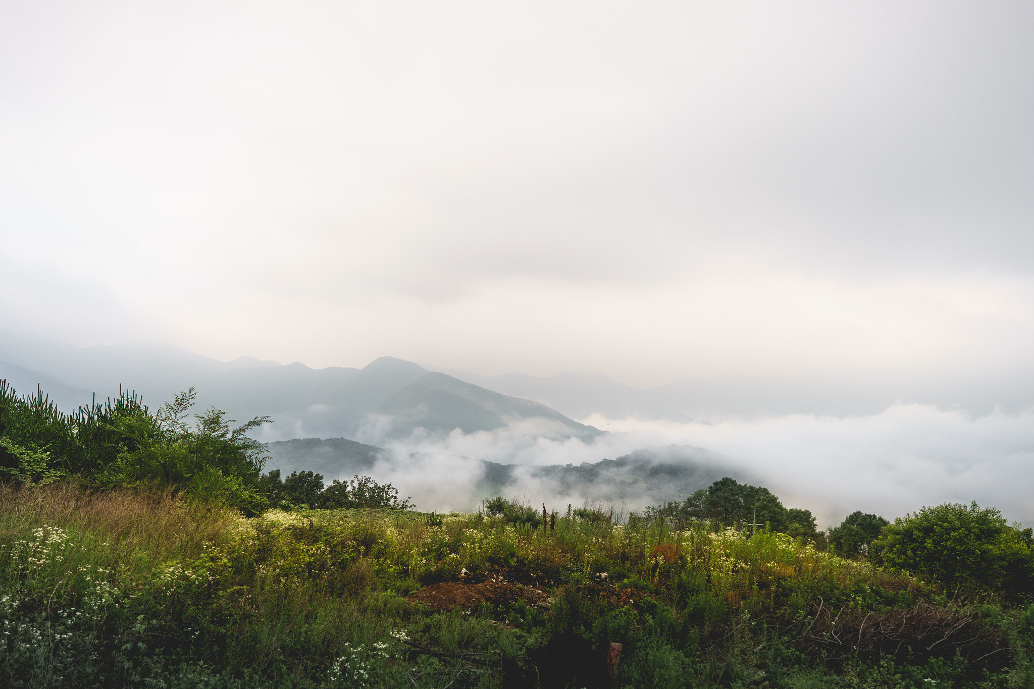 Sony a7 + ZEISS Batis 25mm F2 sample photo. Mountainous photography