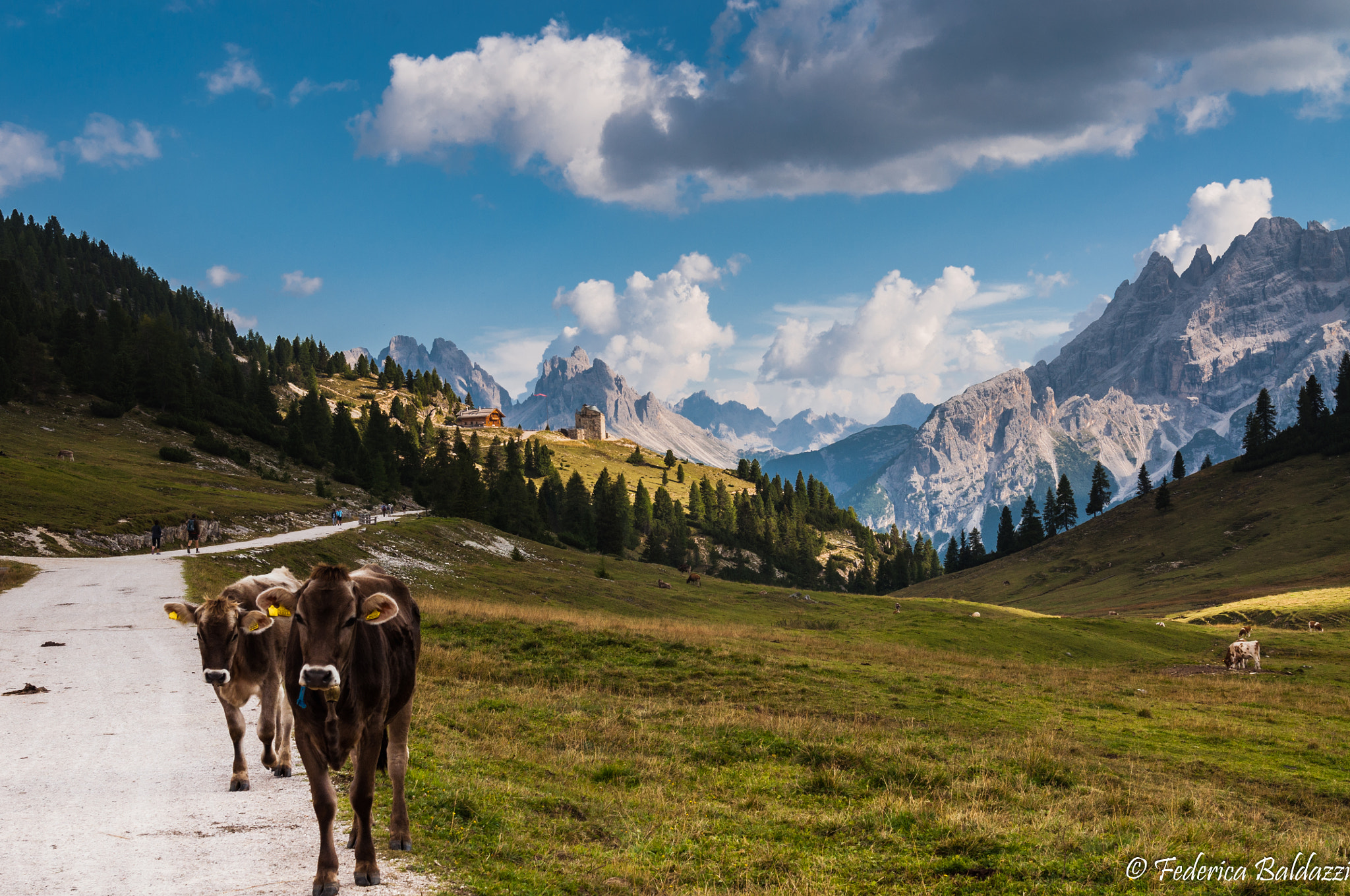 Nikon AF-S Nikkor 24-120mm F4G ED VR sample photo. Monte specie, val pusteria, italy photography