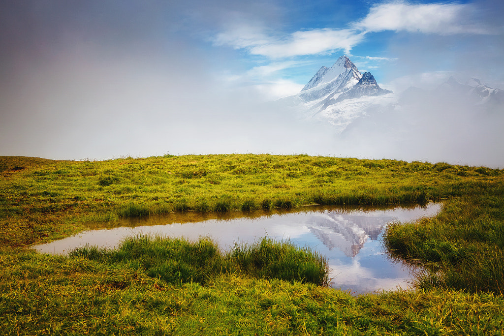 Peak Schreckhorn by Leonid Tit / 500px