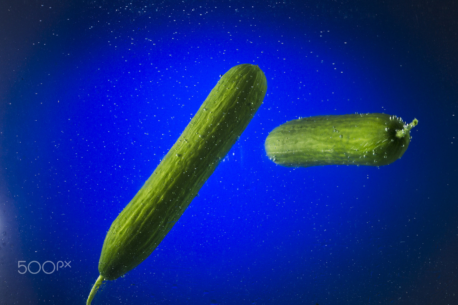 Canon EF 100mm F2.8L Macro IS USM sample photo. Two green cucumber in water on a blue background photography