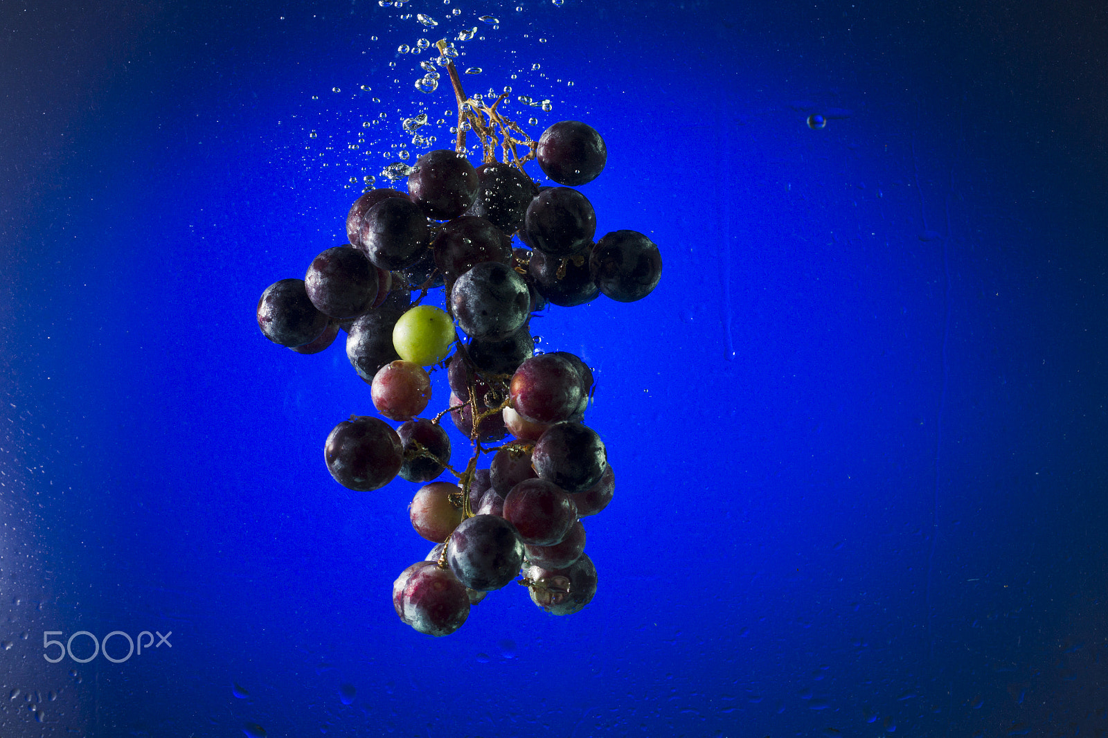 Canon EF 100mm F2.8L Macro IS USM sample photo. Black grapes in water on a blue background photography
