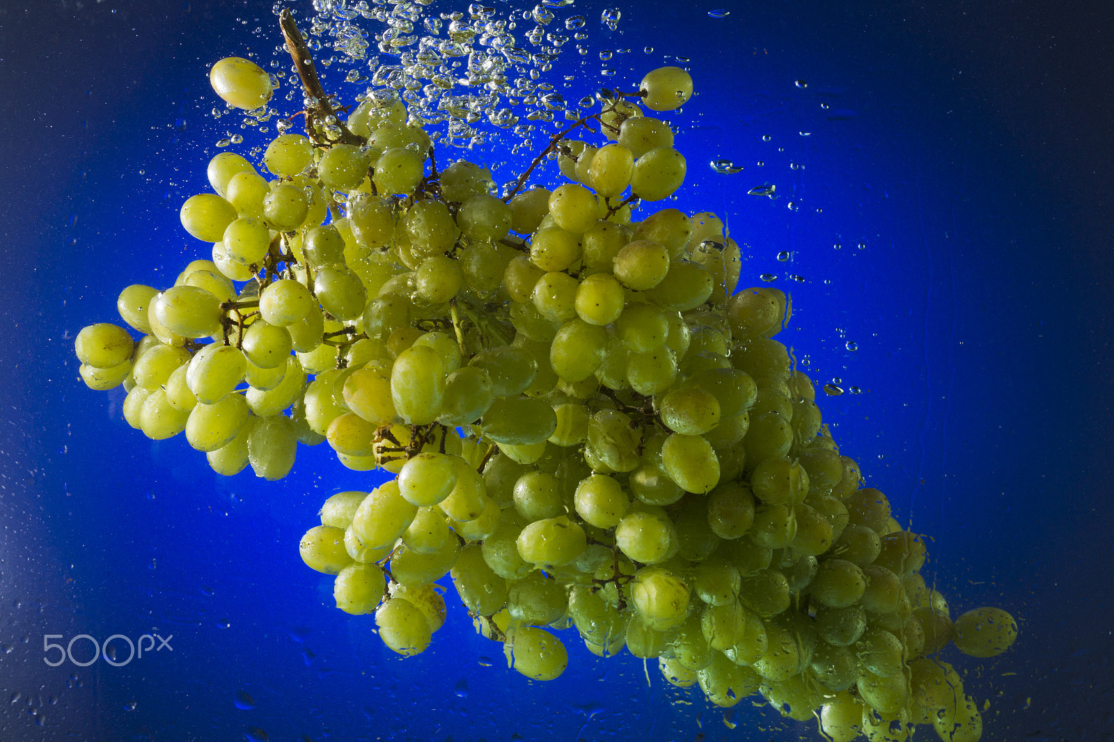 Canon EOS-1D Mark IV + Canon EF 100mm F2.8L Macro IS USM sample photo. Green grapes in water on a blue background photography