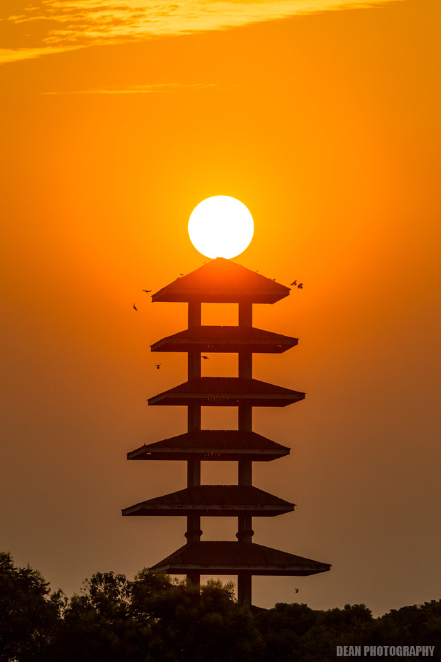 Canon EOS-1D Mark IV sample photo. Sunset photography