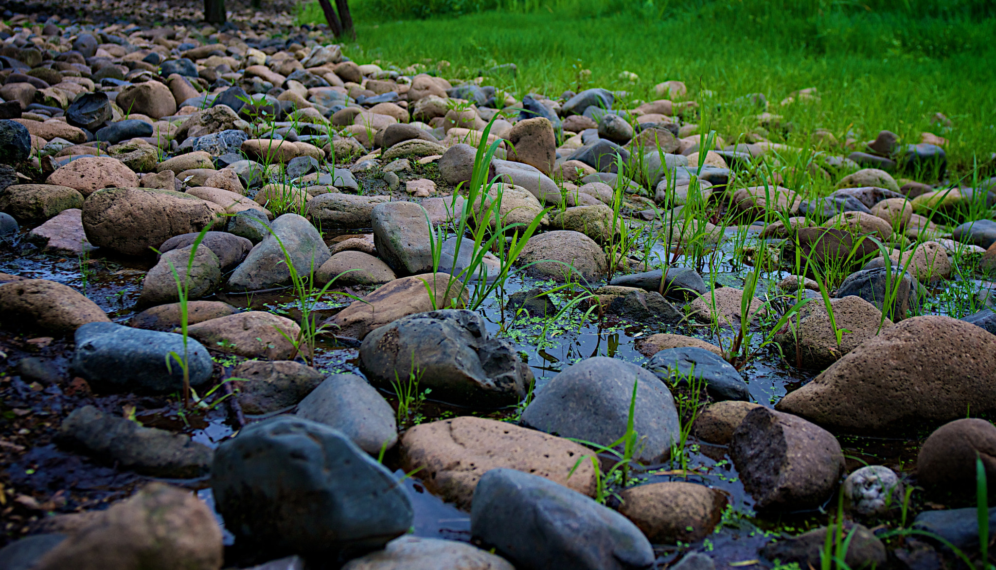 Canon EOS 40D sample photo. Rock the river photography