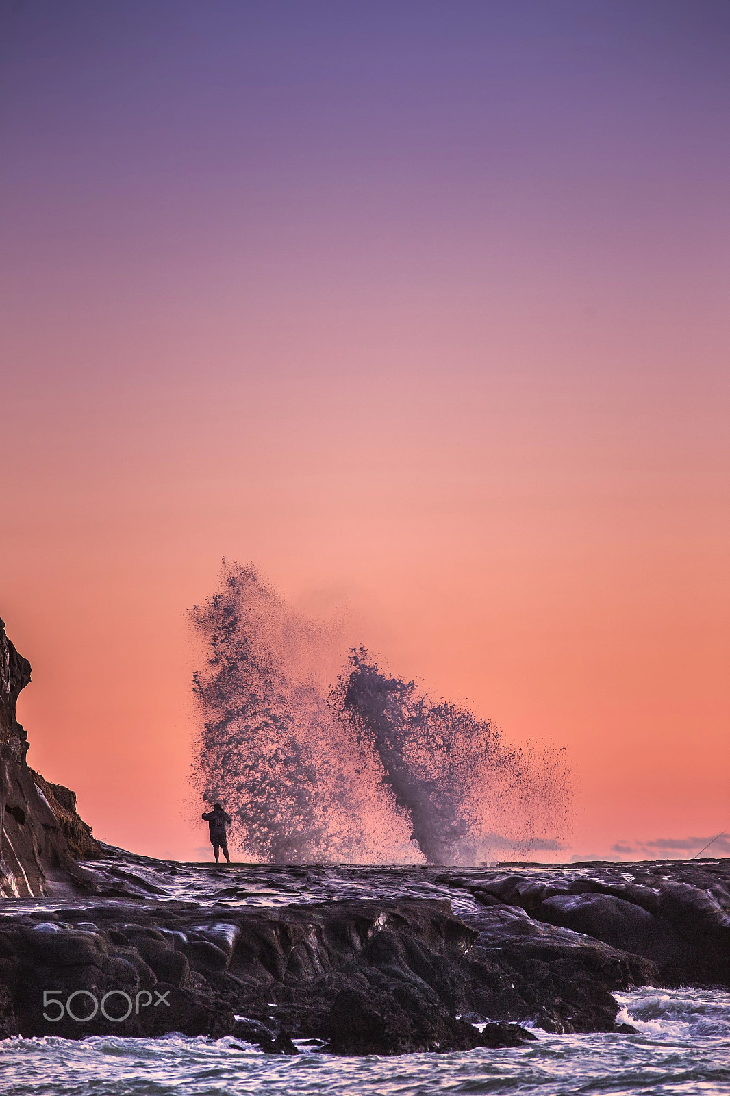 Canon EF 300mm f/4L sample photo. The fisherman's new friend photography