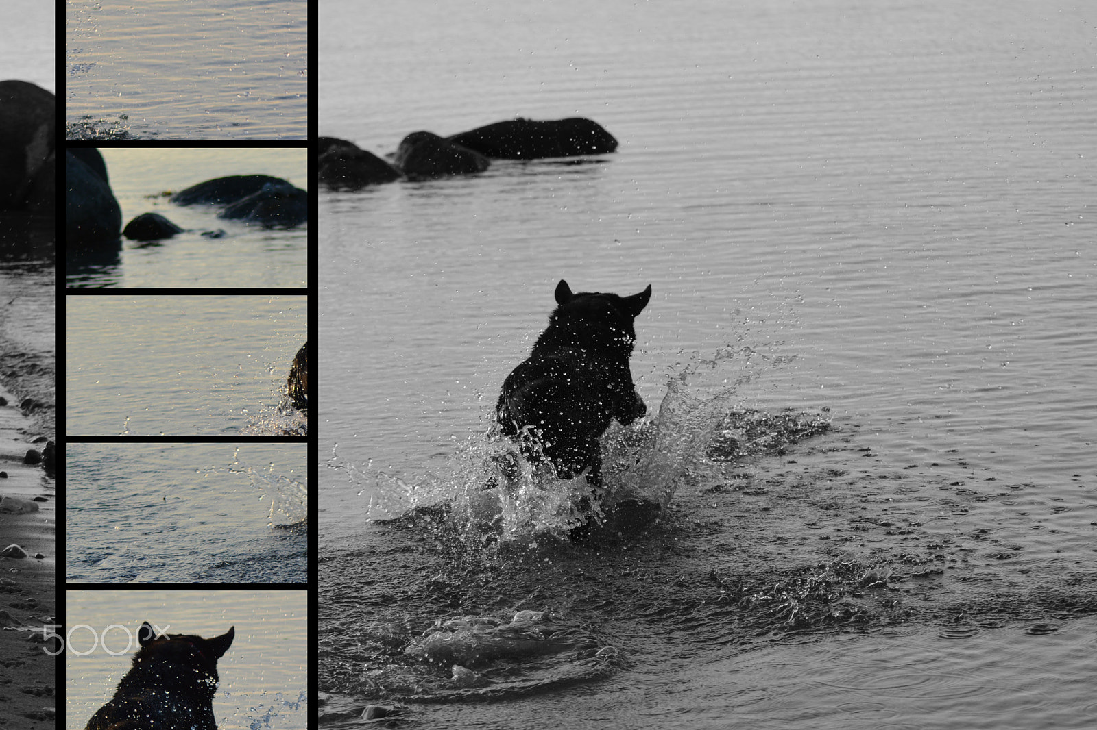 Nikon AF Nikkor 70-300mm F4-5.6G sample photo. Get the ball photography
