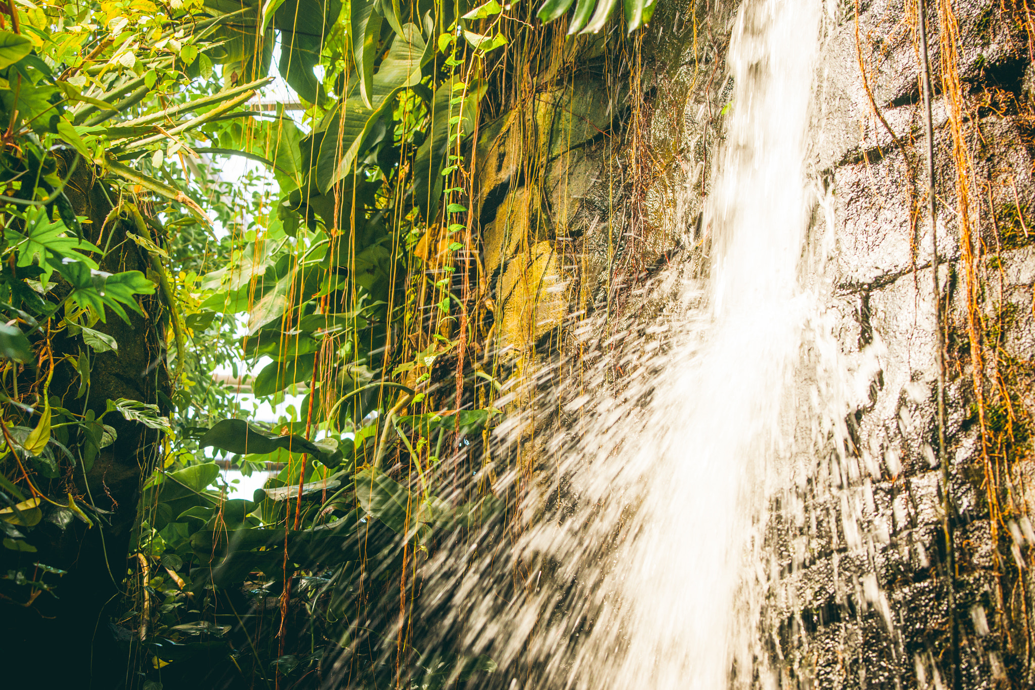 Sony 70-400mm F4-5.6 G SSM II sample photo. Tropical waterfall in a rainforest with green vegetation photography
