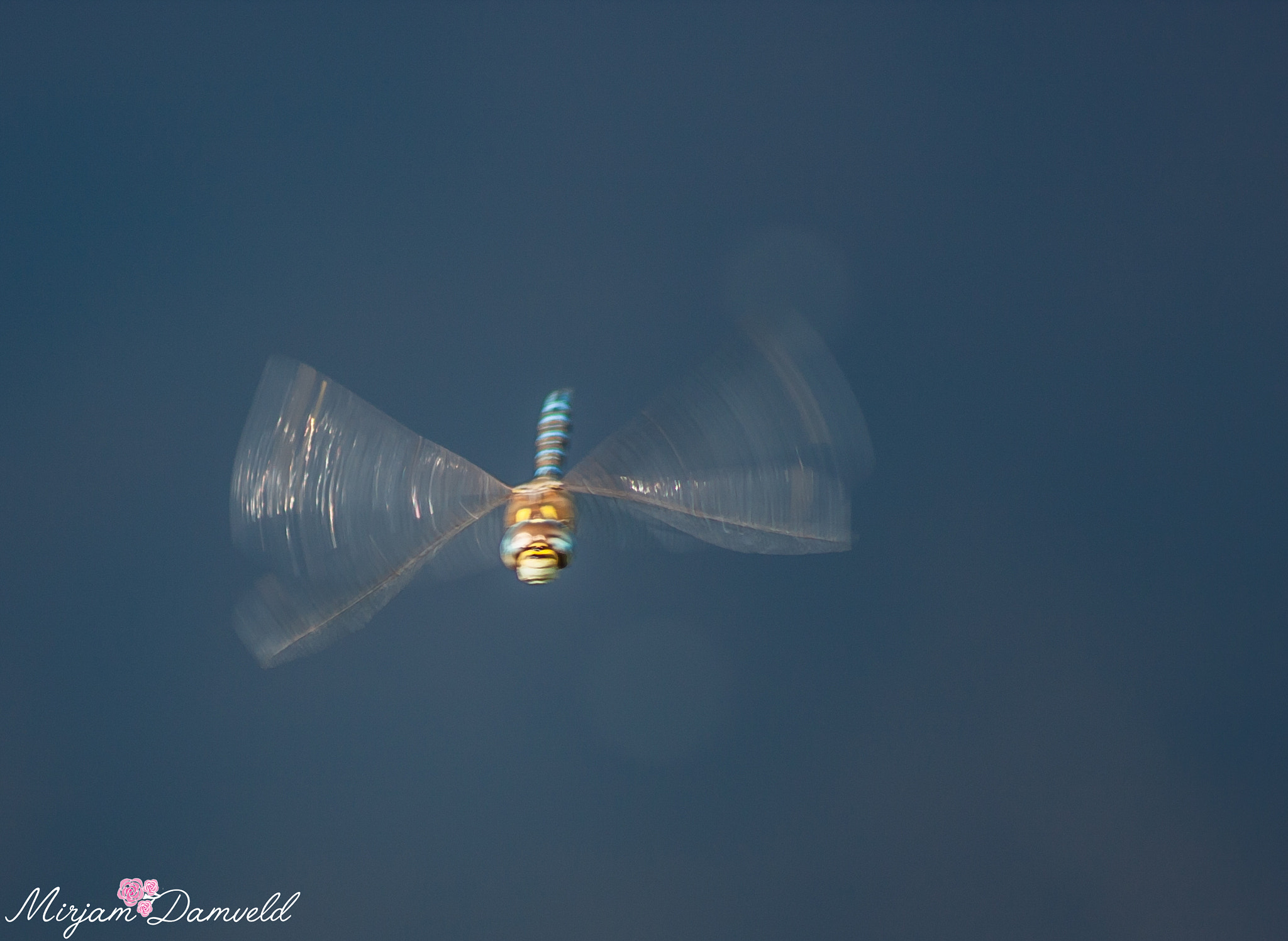 Canon EF 75-300mm f/4-5.6 USM sample photo. Img photography