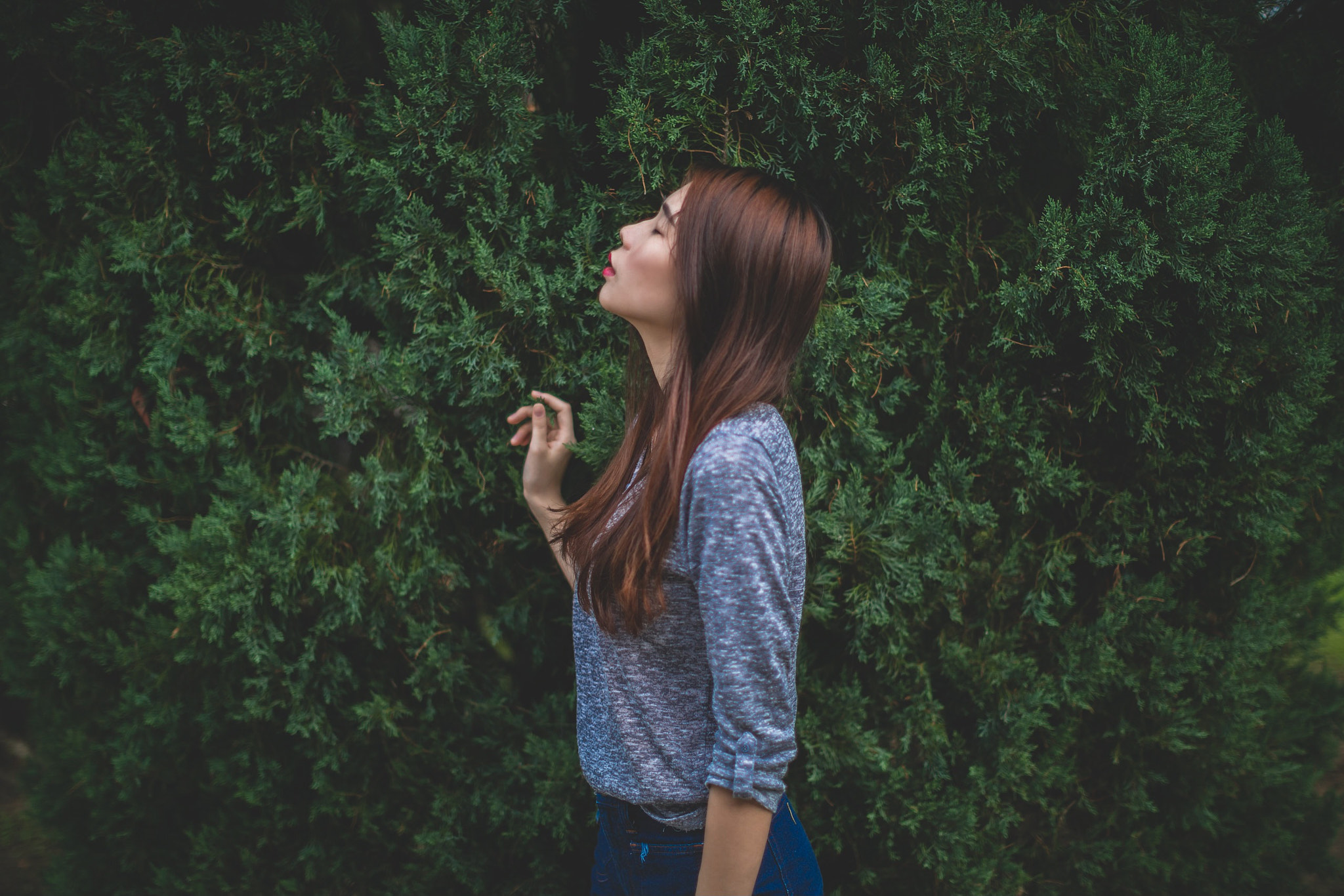 Canon EOS 5DS R + Canon EF 50mm F1.2L USM sample photo. Somewhere i belong. photography