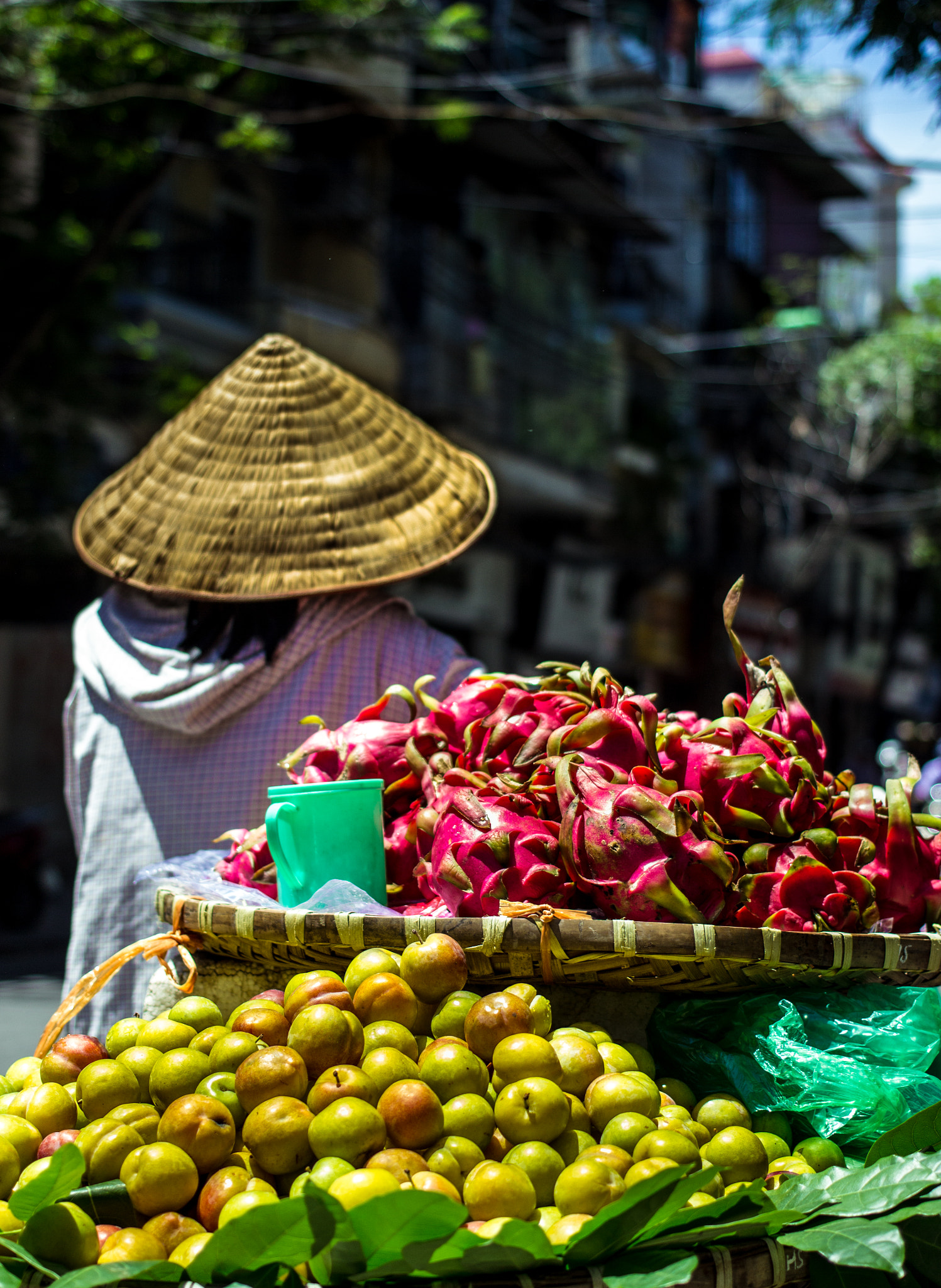 Canon EF 40mm F2.8 STM sample photo. The dragon seller photography