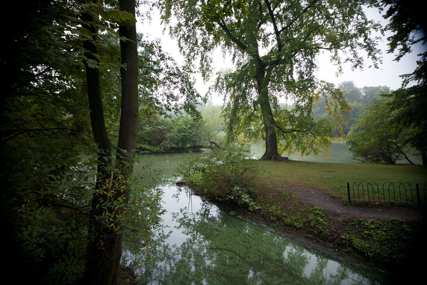 Canon EOS 5D + Sigma 10-20mm F4-5.6 EX DC HSM sample photo. Autumn breath photography