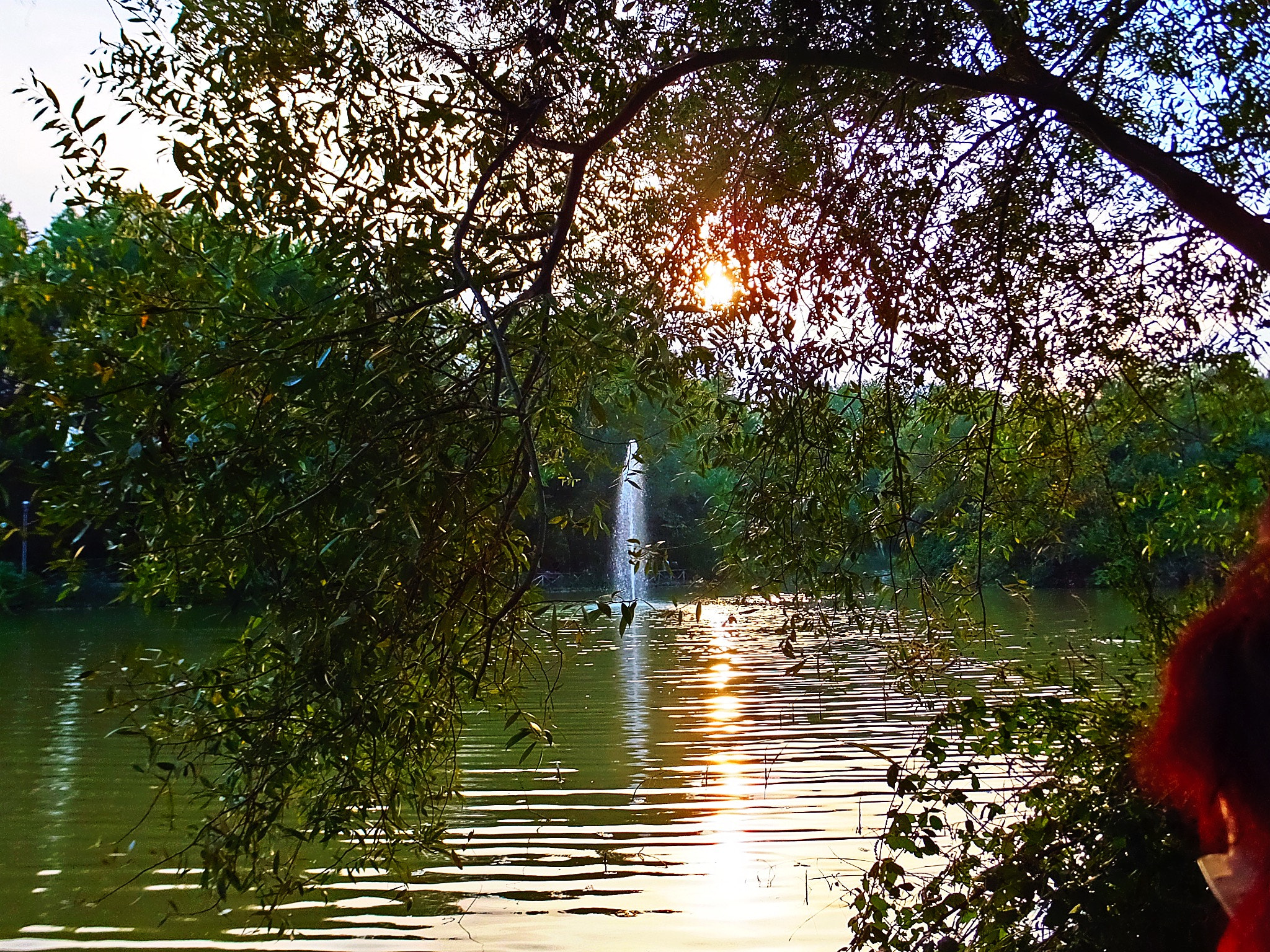 Fujifilm FinePix F900EXR sample photo. Sunset on the urban lake photography