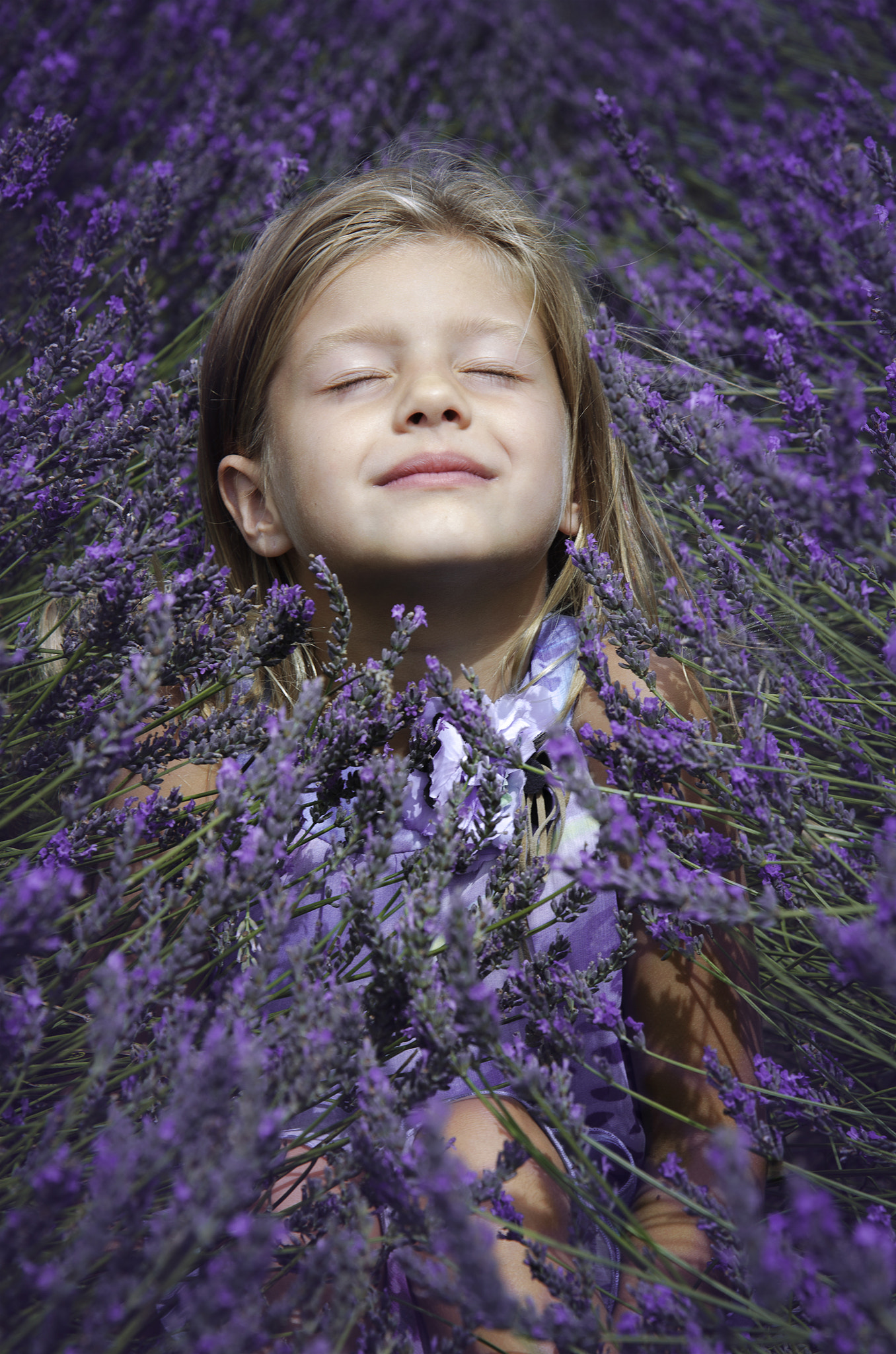 Nikon AF Nikkor 24-85mm F2.8-4D IF sample photo. Lavander sunshine photography
