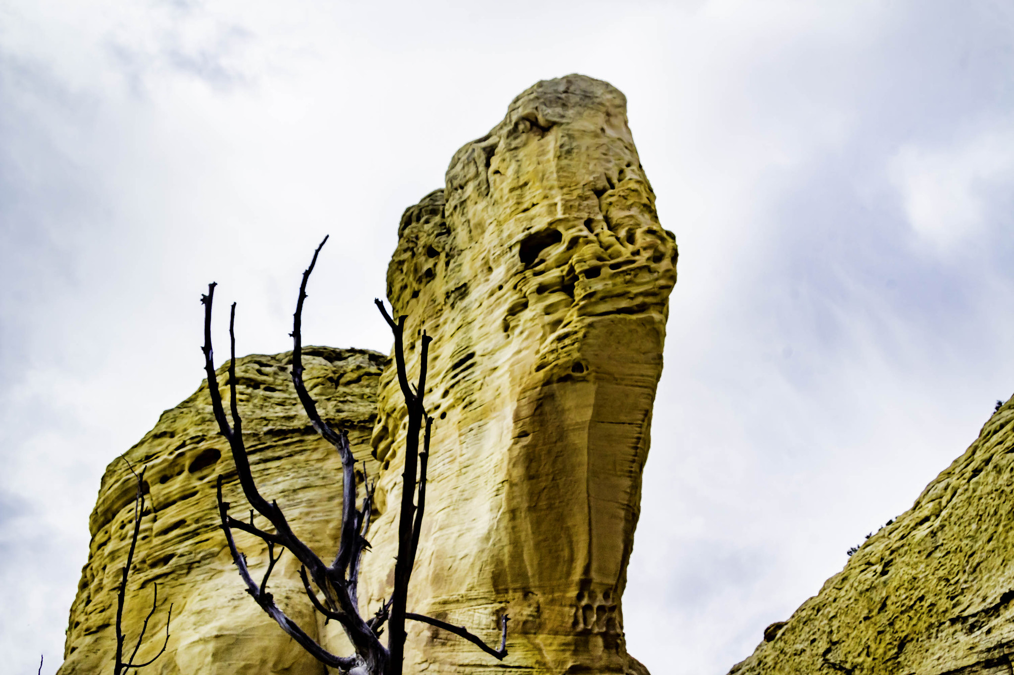 Canon EF-S 17-85mm F4-5.6 IS USM sample photo. Turtle rock photography